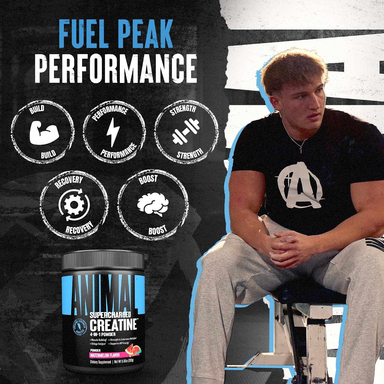 Animal Supercharged Creatine Powder - Flavored Creatine Monohydrate Enhanced with Betaine Anhydrous, PurpleForce & Senactiv, Strength, Endurance, Muscle Recovery for Men and Women - Watermelon, 300g