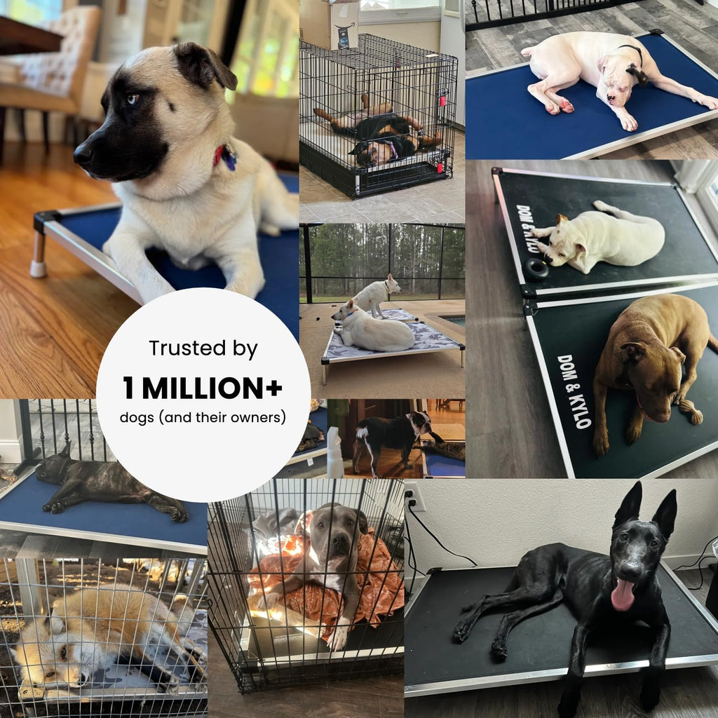 K9 Ballistics Chew Proof Elevated Cooling Outdoor Cot Bed for Small Dogs & Puppies - Virtually Indestructible, Preassembled, Withstands Aggressive Chewers - S, Black Mesh
