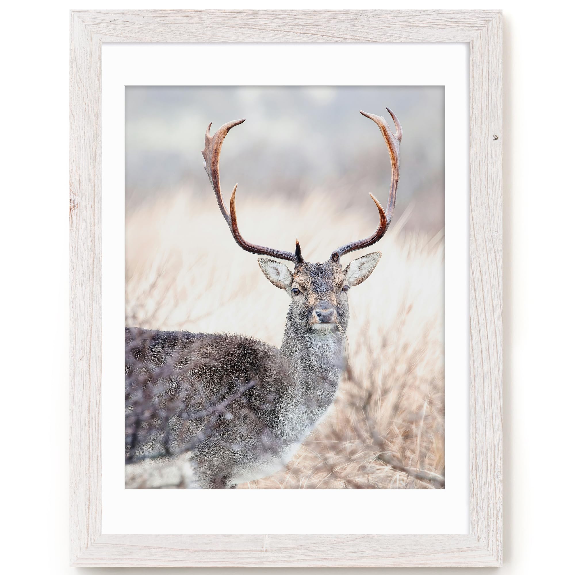 Fun Memories 5x7 Picture Frame with Mat for 4x6 Photo, Solid Elm Wood & Tempered Glass, Rustic Wall & Tabletop Display Frame, Grey, 1 Pack