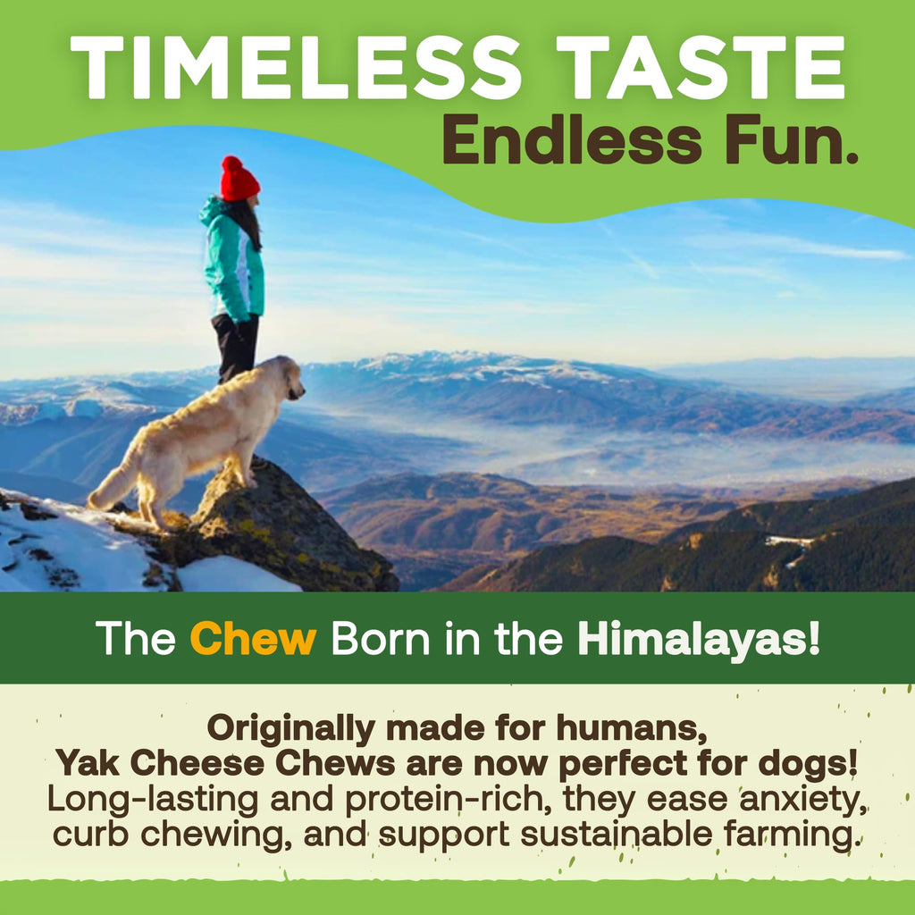 EcoKind Yak Cheese Himalayan Dog Chews, Yak Chews for Small Dogs, Long Lasting Bone for Aggressive Chewers, Only 3 Ingredients, Natural High Protein Treat, No Additives, Lactose Free, Small - 16 Chews