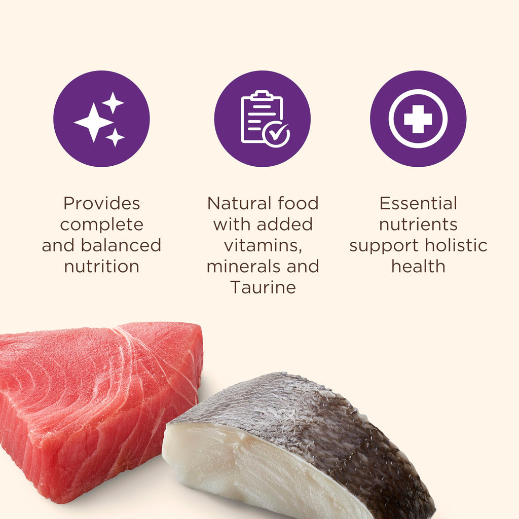 Nutrish Grain Free Wet Cat Food Ocean Fish-A-Licious Whole Health Blend with Real Flaked Ocean Fish & Tuna in Sauce, 2.8 oz. Cup (Rachael Ray) (Pack of 12)