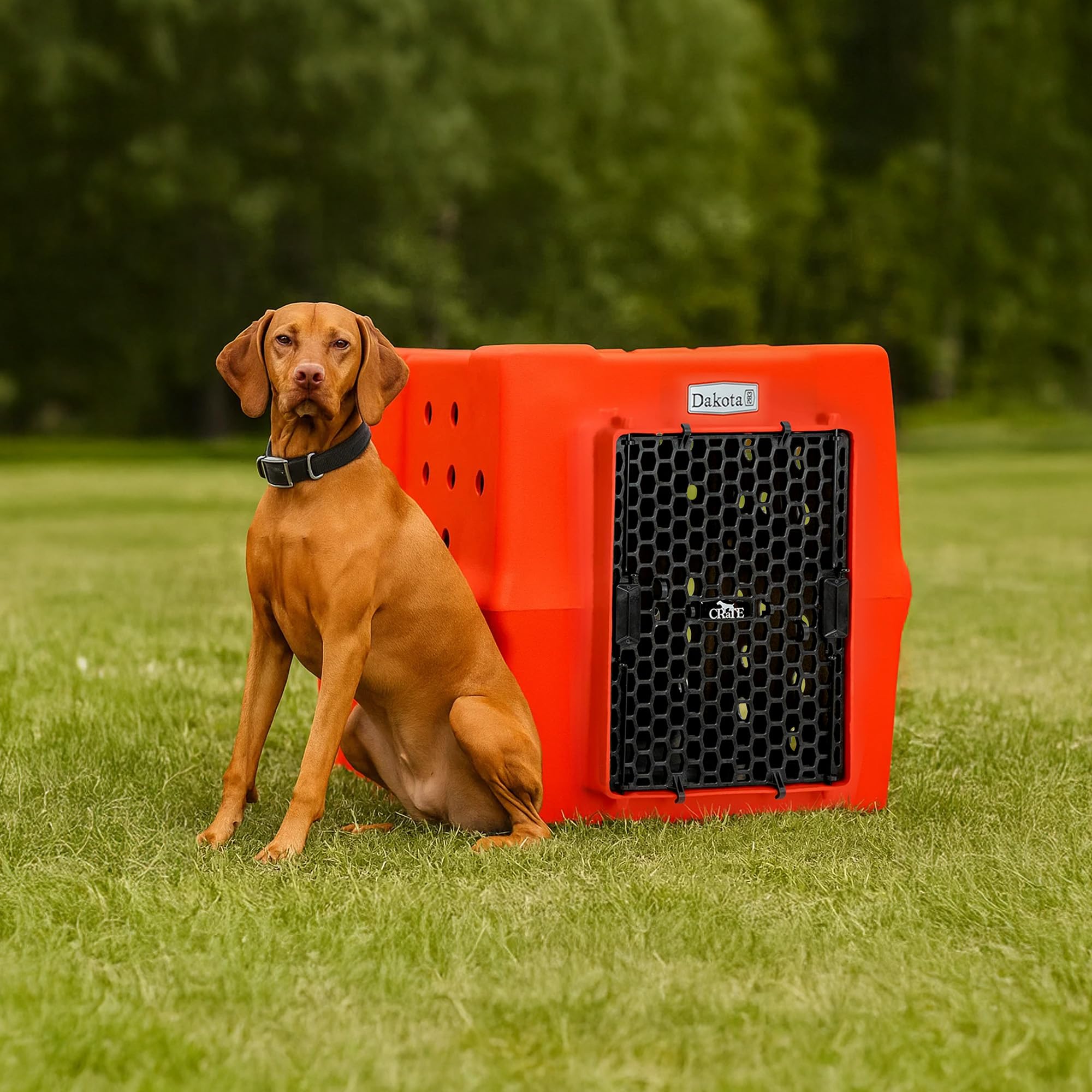 Dakota 283 Canine Rough and Tough Economy Dog Crate w/ Removable Two-Way Door - Heavy Duty Outdoor Kennel for Medium Breed Dogs (Coyote Granite, Intermediate)