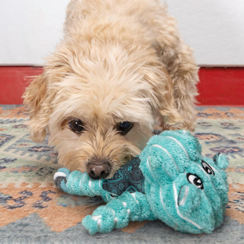 KONG Floppy Knots - Durable No‑Stuffing Squeaky Rope & Plush Dog Toy - for Teething, Playing (Bunny, Small/Medium)