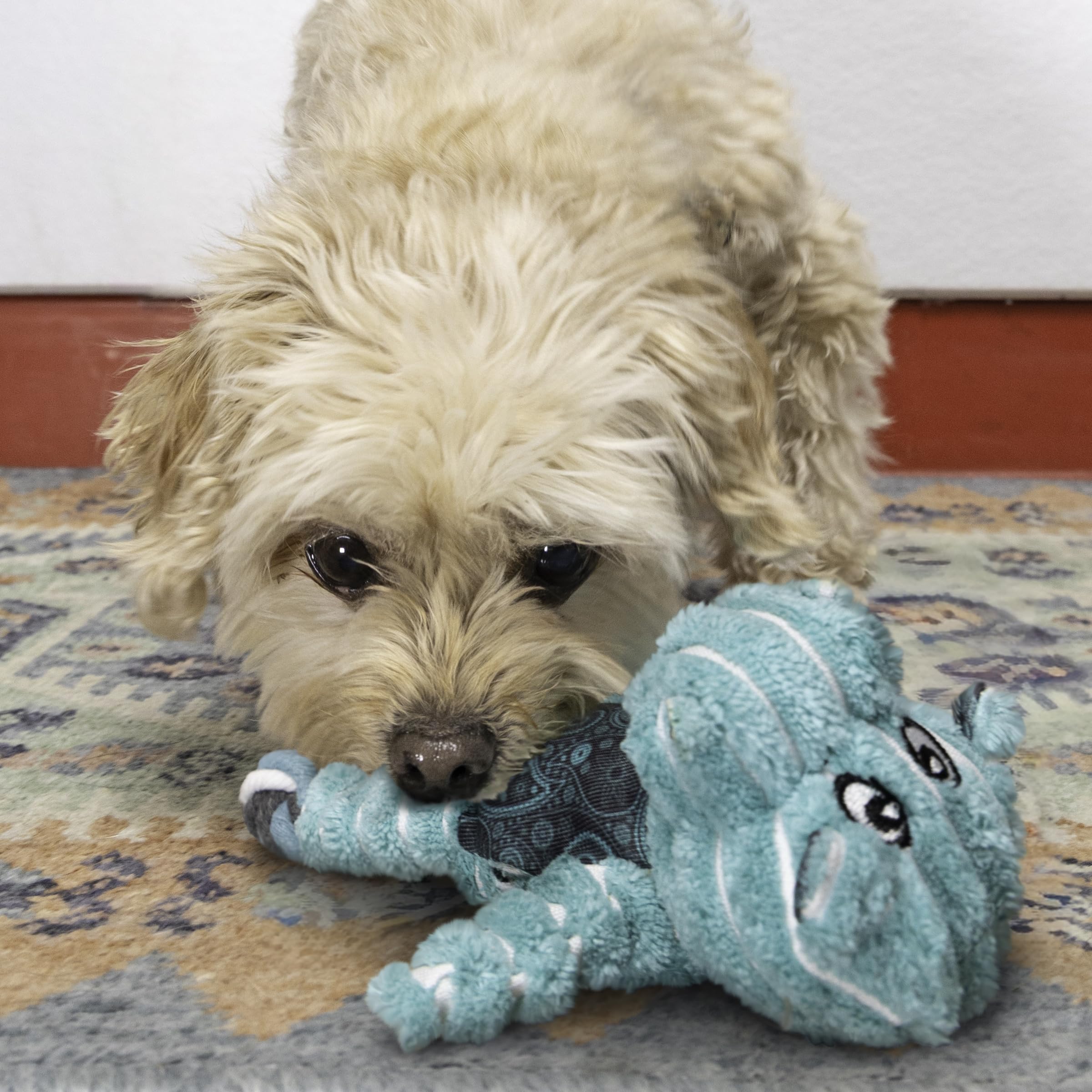 KONG Floppy Knots - Durable No‑Stuffing Squeaky Rope & Plush Dog Toy - for Teething, Playing (Bunny, Small/Medium)