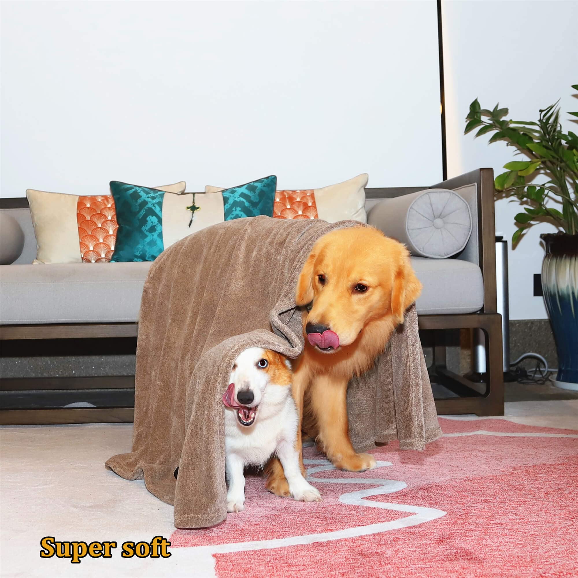 Dogvingpk Medium Dog Towel 4 Pack, Super Absorbent Soft Quick Drying Microfiber Pet Bath Towels for Medium & Small Dogs (M-36" * 28", 2Grey and 2Brown)