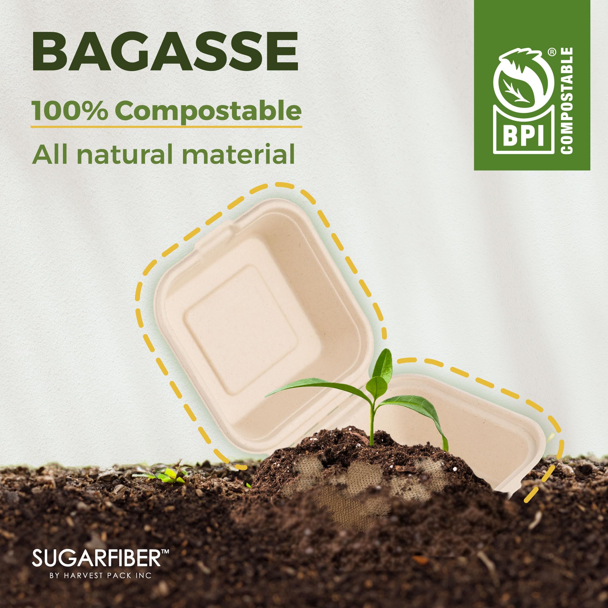 [50 COUNT]Harvest Pack 6 X 6" Compostable Clamshell Take Out Food Containers, PFAS FREE Square To go Containers with Lids, Heavy-Duty Disposable Bagasse Bento Cake Box, Eco-Friendly Sugarcane Fibers