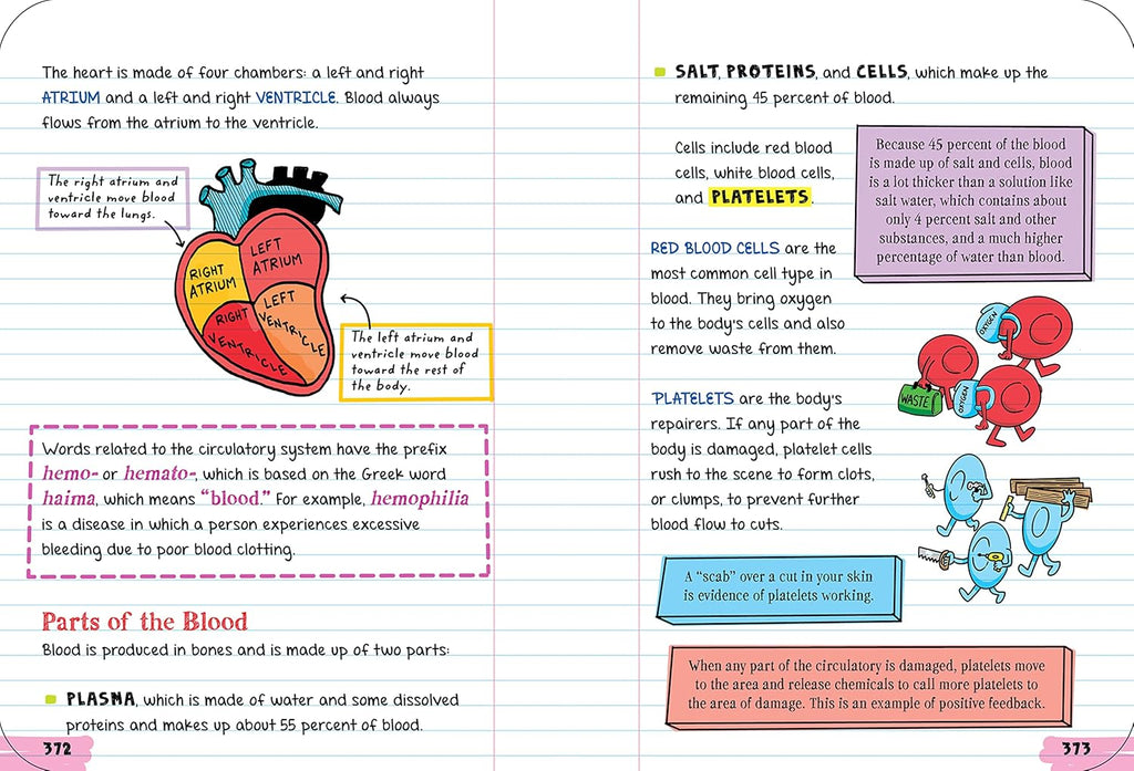 Everything You Need to Ace Biology in One Big Fat Notebook