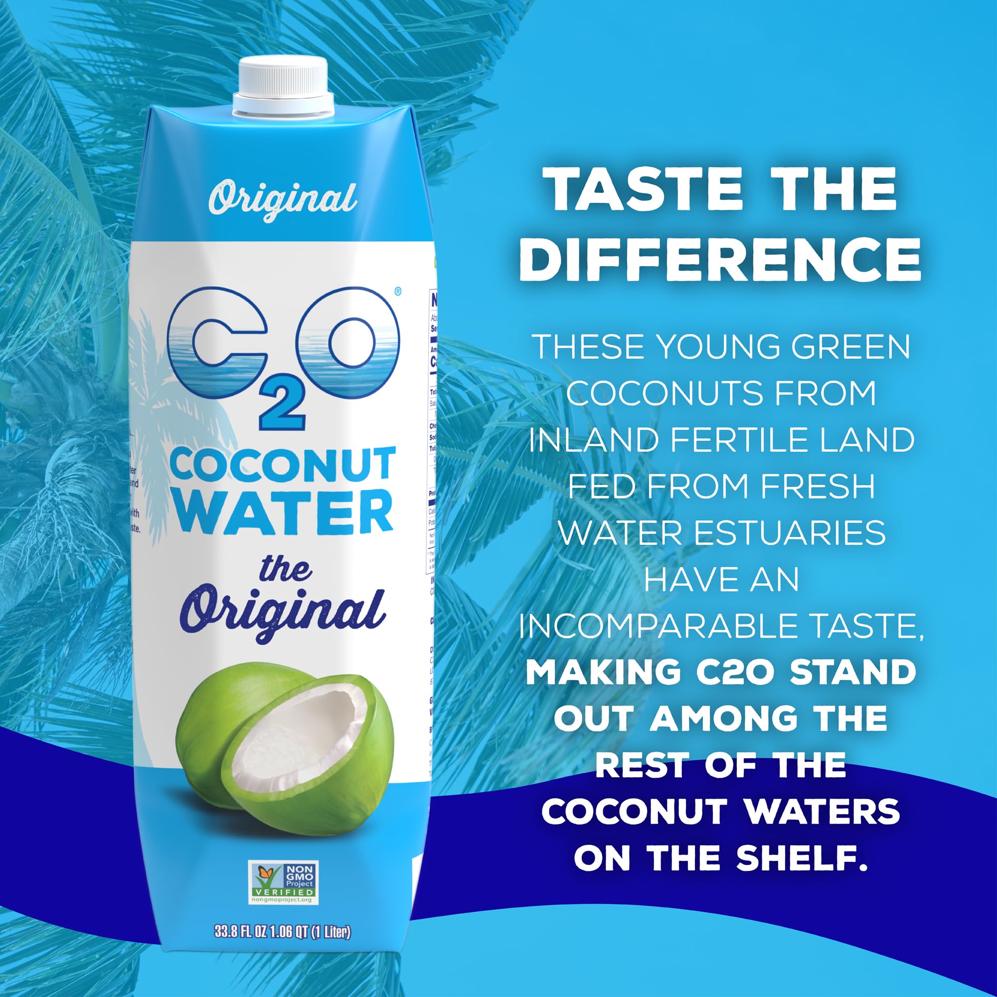 C2O - Coconut Water with Ginger, Lime, & Turmeric (12 Pack) - Made with Fresh Coconut Water - Plant Based - Non GMO - Canned Water - Natural Hydration, Electrolytes, & Potassium - 12 Cans, 17.5 FL OZ