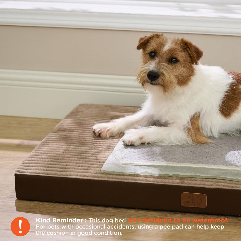 Bedsure ComfyFleece Dog Bed for Small Dogs - Orthopedic Pet Beds with Removable Washable Cover, NOT Waterproof Egg Crate Foam Puppy Mat, Suitable for Pet Up to 20 lbs, 23"x17"x2.8", NOT for Chewers