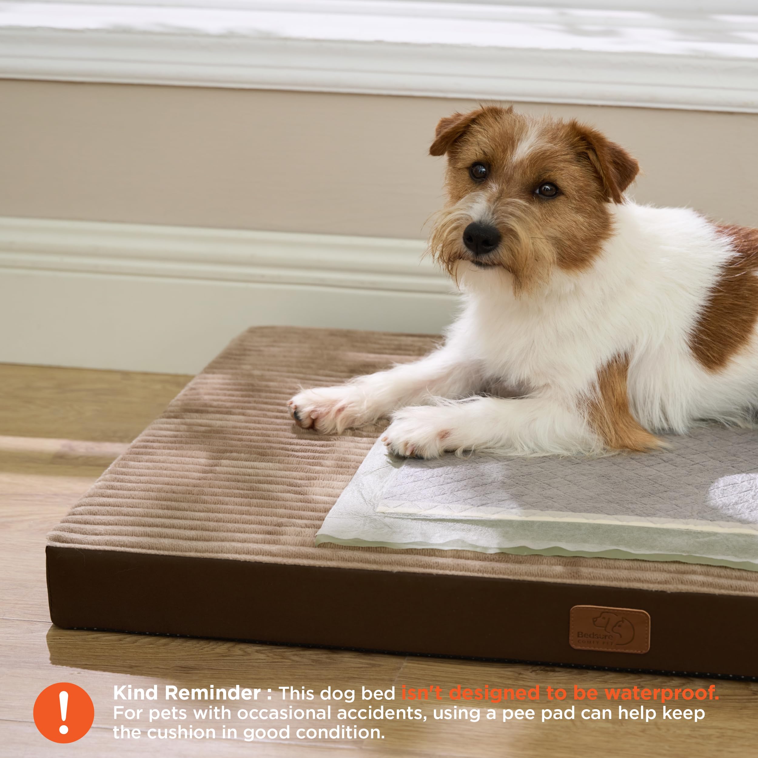 Bedsure ComfyFleece Dog Bed for Small Dogs - Orthopedic Pet Beds with Removable Washable Cover, NOT Waterproof Egg Crate Foam Puppy Mat, Suitable for Pet Up to 20 lbs, 23"x17"x2.8", NOT for Chewers