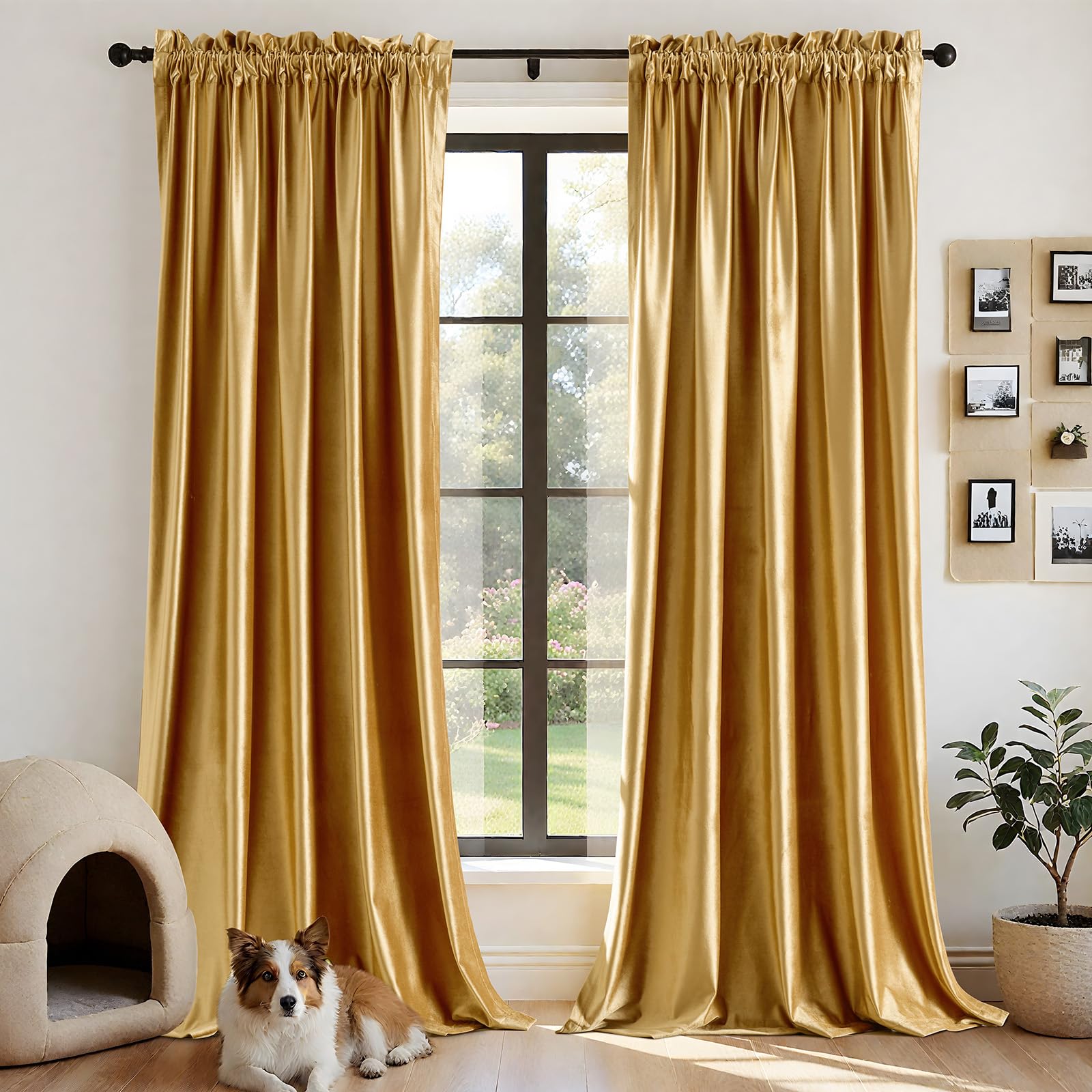 Champagne Beige Velvet Curtains 63 inches for Living Room Luxury Room Darkening Curtain Elegant Bedroom Thermal Insulated Modern Heavy Thick Soft Soundproof Rod Pocket Window Drapes Set of 2 Panels