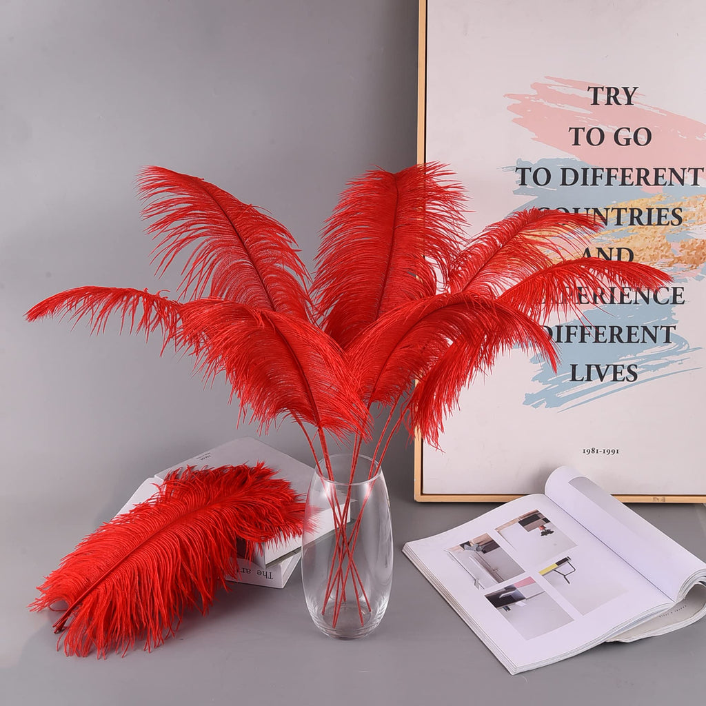Ballinger Black Ostrich Feathers Bulk - Making Kit 12Pcs 16-18inch Large Ostrich Feathers for Floral Arrangement, Vase, Wedding Party Centerpieces and Halloween Home Decor