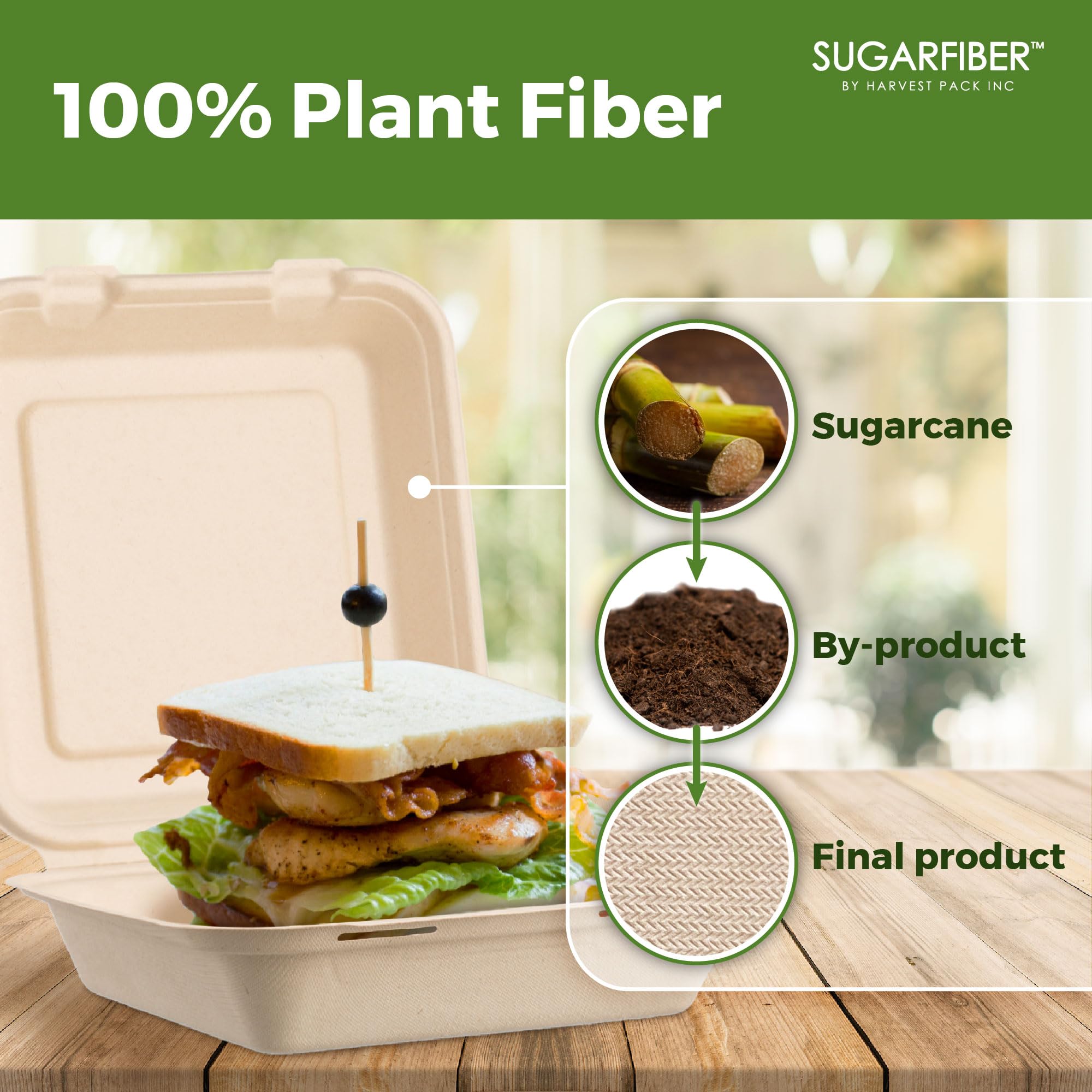 [50 COUNT]Harvest Pack 6 X 6" Compostable Clamshell Take Out Food Containers, PFAS FREE Square To go Containers with Lids, Heavy-Duty Disposable Bagasse Bento Cake Box, Eco-Friendly Sugarcane Fibers