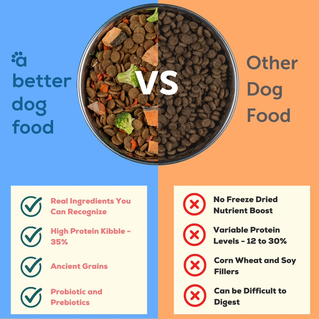 A Better Dog Food | Chicken Dry Dog Food | Raw You Can See | High Protein Kibble + Freeze Dried Raw Dog Food