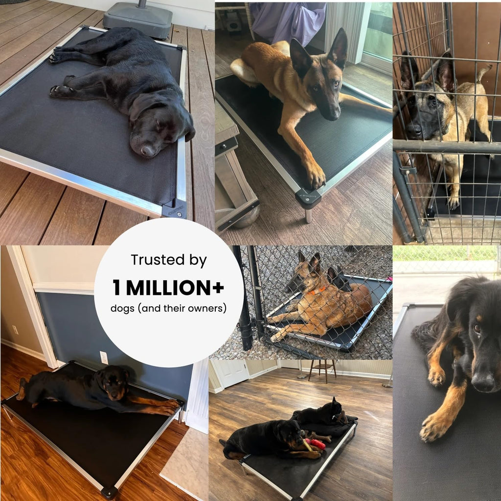 K9 Ballistics Chew Proof Elevated Cooling Outdoor Cot Bed for Small Dogs & Puppies - Virtually Indestructible, Preassembled, Withstands Aggressive Chewers - S, Black Mesh