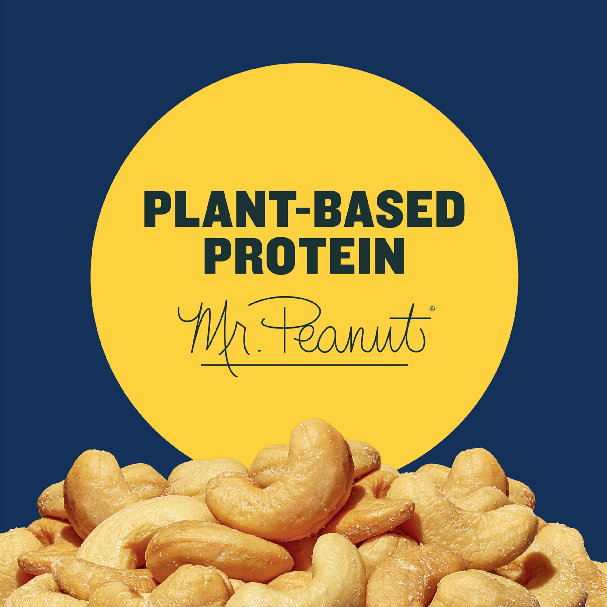 PLANTERS Deluxe Lightly Salted Whole Cashews, 18.25 oz. Resealable Container - Lightly Salted Cashews & Lightly Salted Nuts - Snacks for Adults & Kids - Vegan Snacks, Kosher