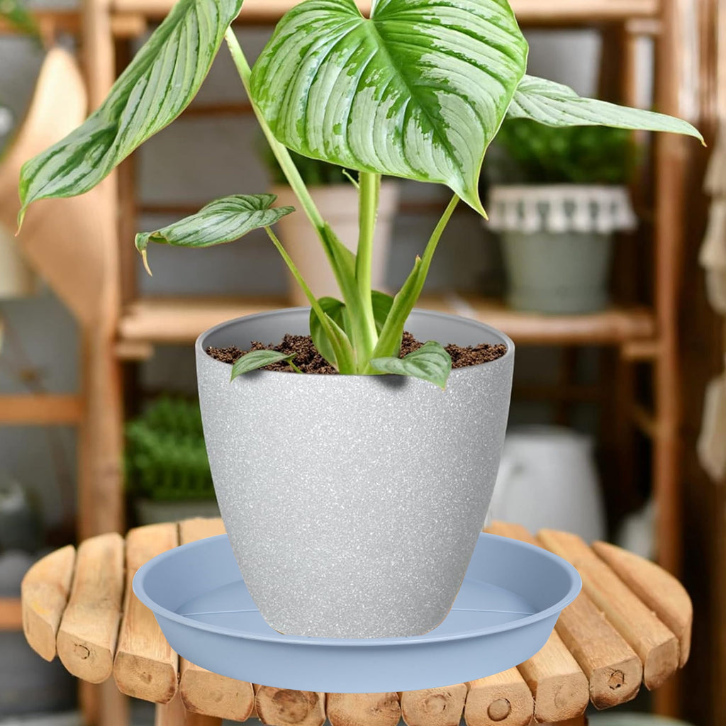 OVZILKI 6 Pack of Plant Saucer Tray 4 6 8 10 12 14 17 19 22 25 inch, Heavy Duty Plastic Pot Plant Drip Trays Saucers for Indoors Outdoor, Plant Water Tray for Planters 3-5" (4", Beige)