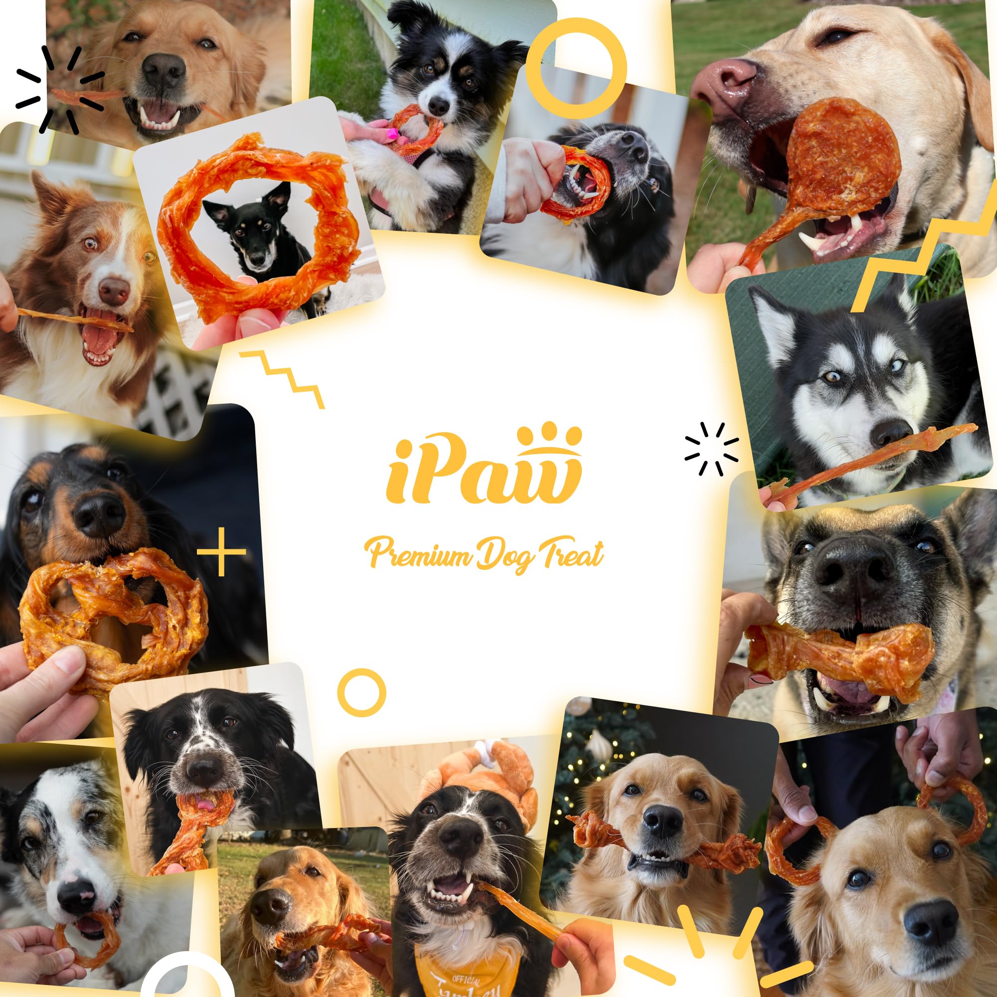 iPaw Turkey Tendons for Dogs 10 Pcs Bulk Pack, 100% Turkey and US Sourced Raw Material, Hypoallergenic, All Natural Human Grade Puppy Chew, Rawhide Alternative Dog Treats, Bone (Large)