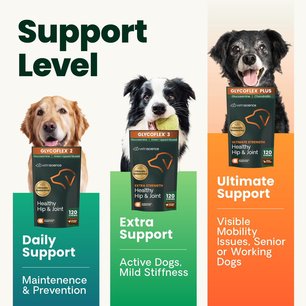 VetriScience Glycoflex 3 Vet Strength Glucosamine for Dogs Hip and Joint Supplement - Clinically Proven Mobility and Joint Supplement with MSM, DMG and Green Lipped Sea Mussel, Chicken, 60 Chews