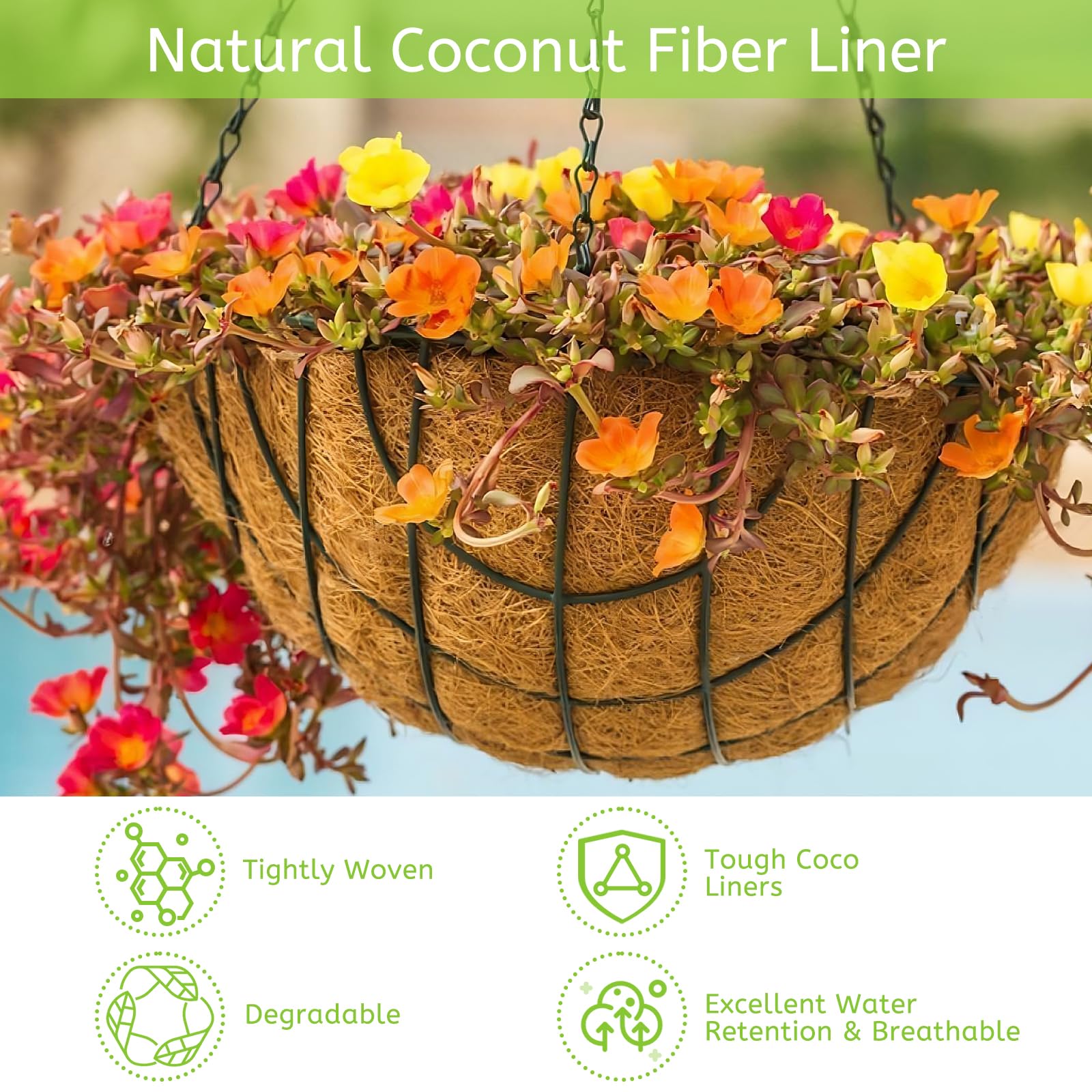 Riare 2 Pack 12 Inch Round Coco Liners Replacement, 100% Natural Coconut Coir Liners for Hanging Baskets, Garden Flower Vegetables Planter Pot, Window Box, Fence, Decks