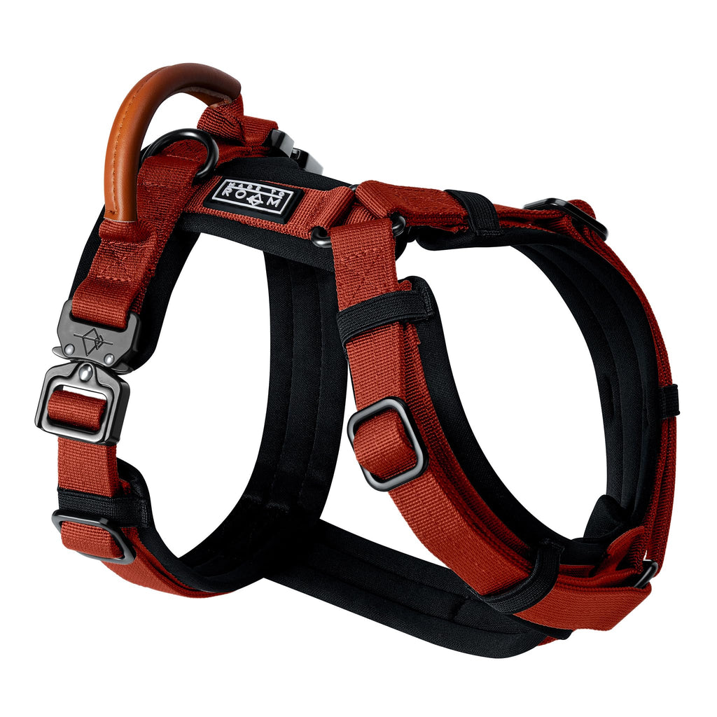 MADE TO ROAM Premium Explorer Harness - Y-Shaped Dog Harness with Adjustable Durable Nylon, Soft Padding, Metal Buckles and Leather Handle for Small, Medium, Large Dogs (Alaska Daybreak, Size 1)