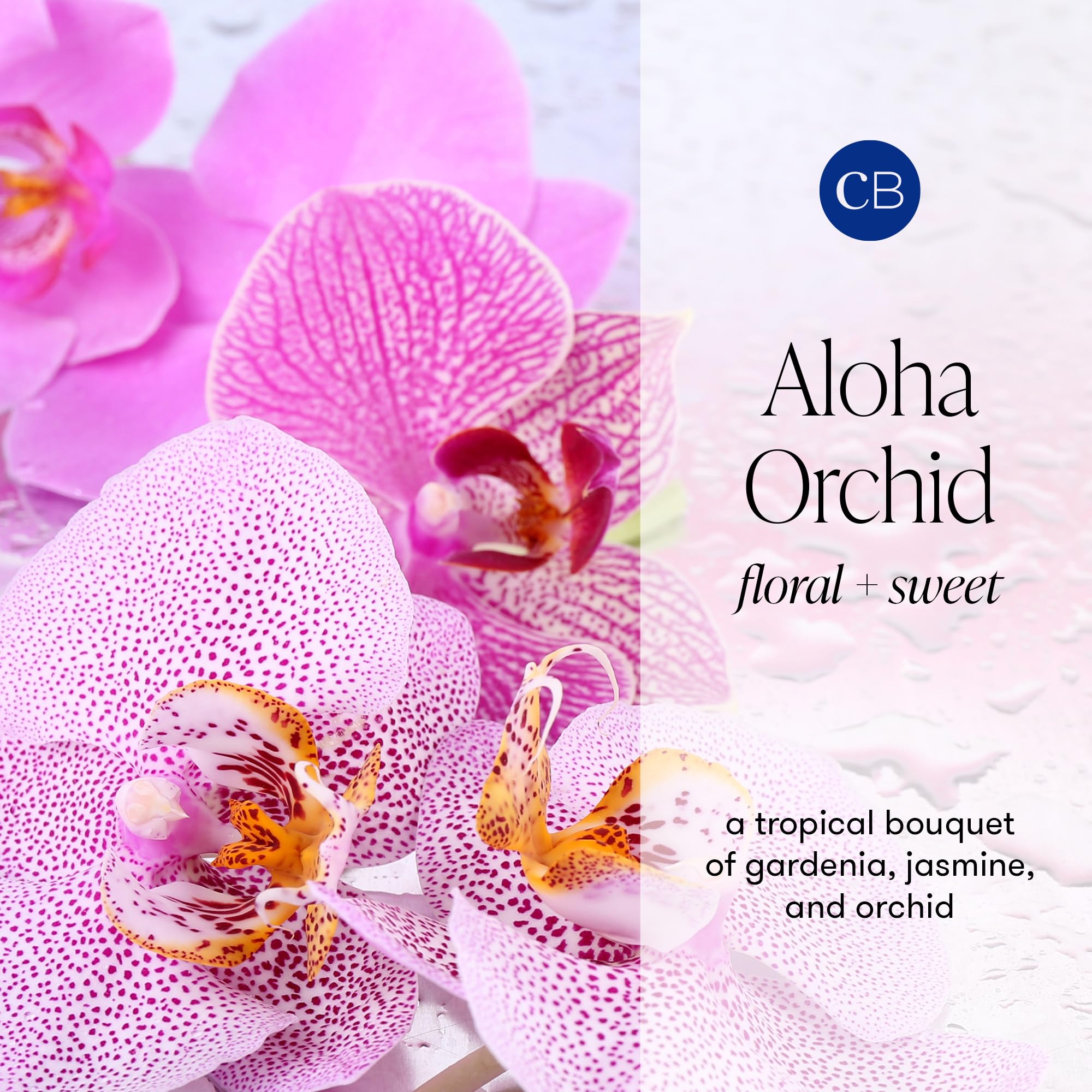 Capri Blue Modern Marble Jar Candles - Luxury Candles for Home Scented - Long Lasting Soy Wax Blend (Aloha Orchid, 8 oz)