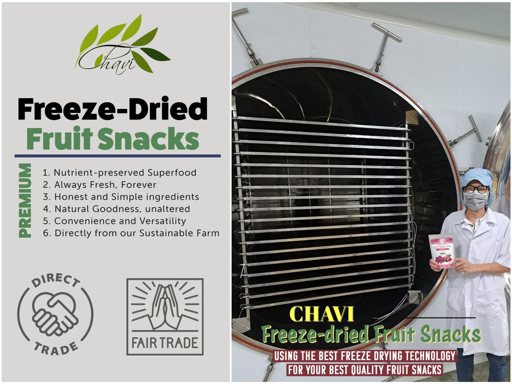 CHAVI Freeze Dried Fruits - Mixed | 6 in 1 | No Added Sugars or Preservatives - Non-GMO, Vegan, Gluten-Free | Gift Box | 230 g | 8.1 oz | 6 Cans