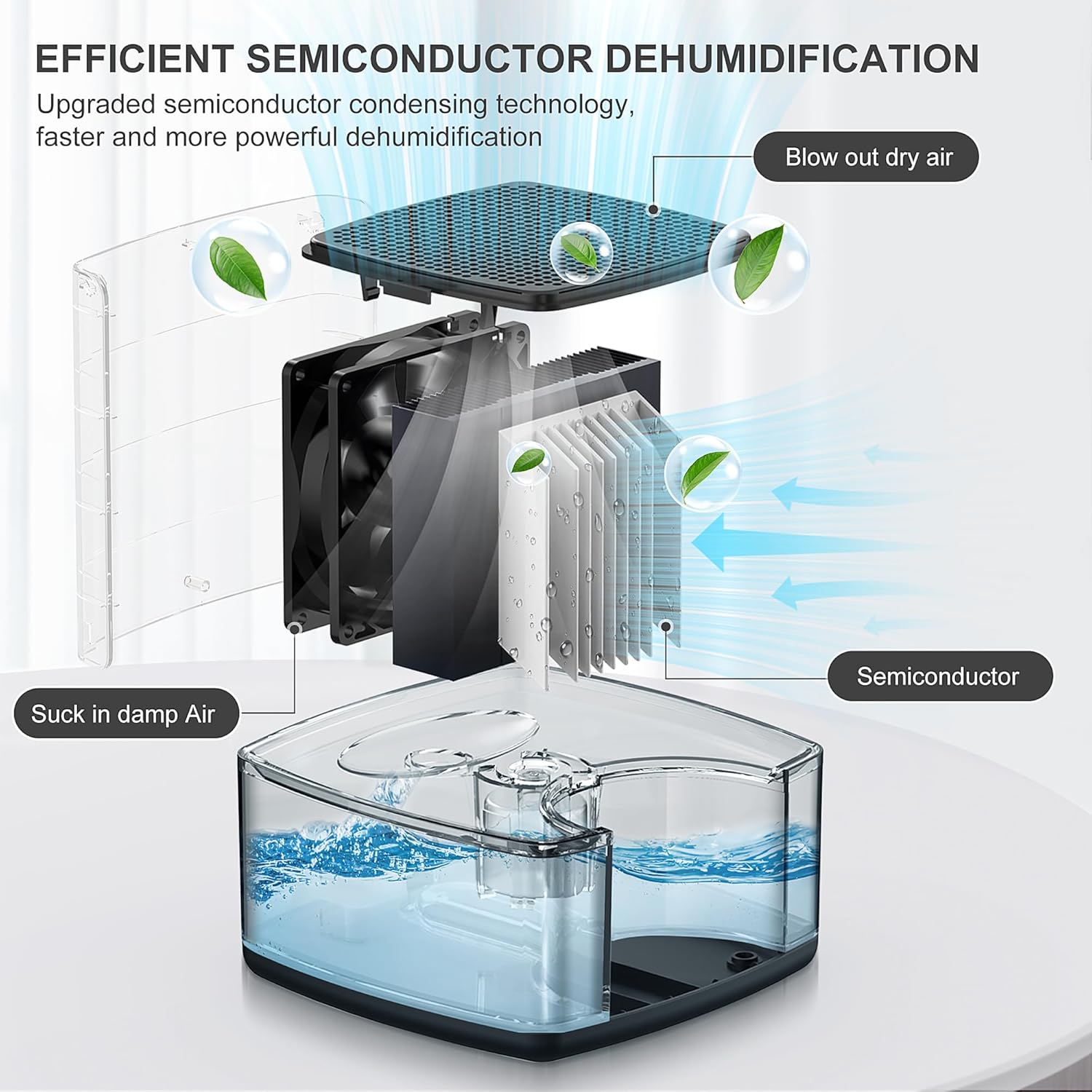 ToLife Dehumidifiers for Home 30 OZ Water Tank with Auto-Off 500 sq.ft Portable Small Dehumidifier for Bathroom Bedroom RV Closet Room 7 Colors LED Light, Black