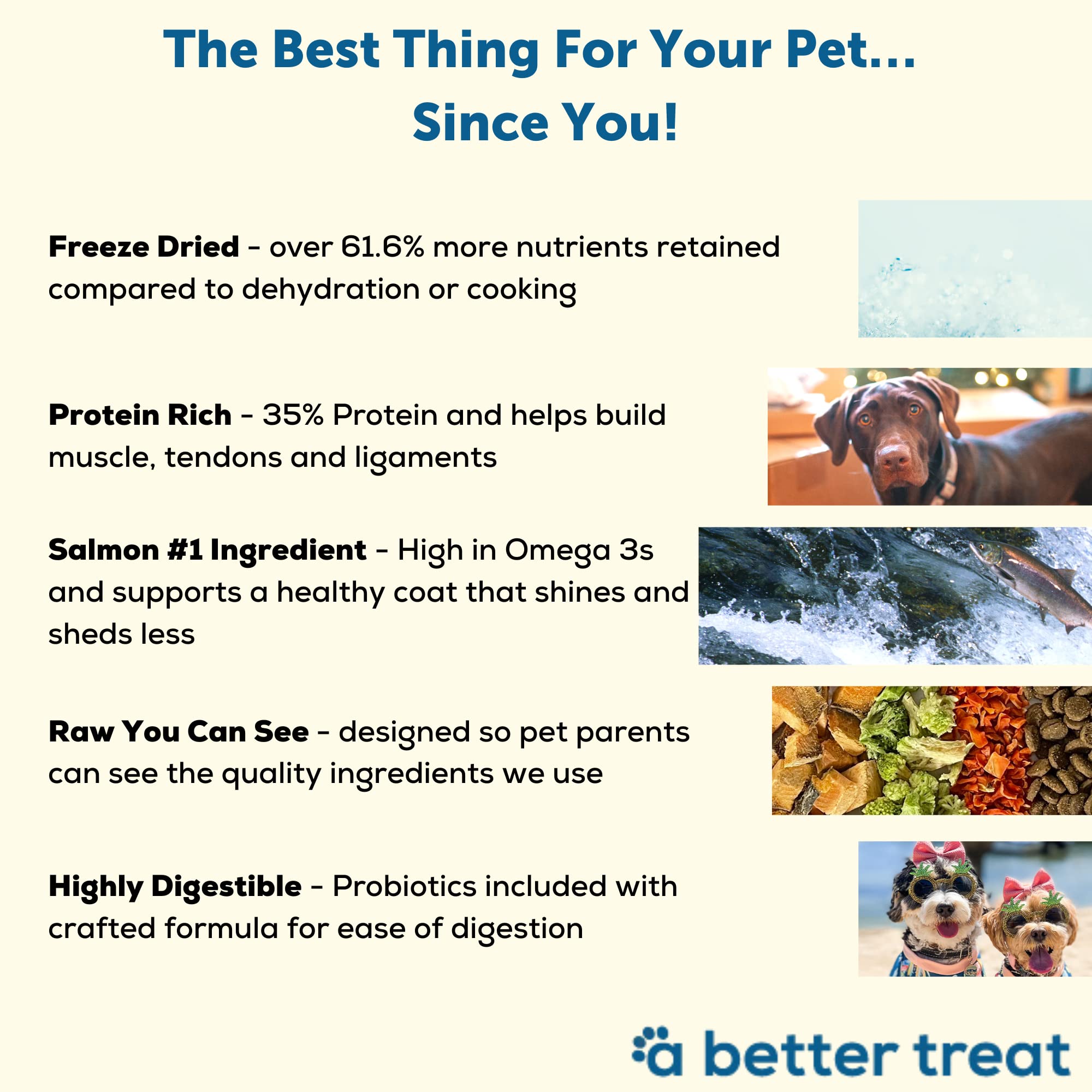 A Better Dog Food | Chicken Dry Dog Food | Raw You Can See | High Protein Kibble + Freeze Dried Raw Dog Food