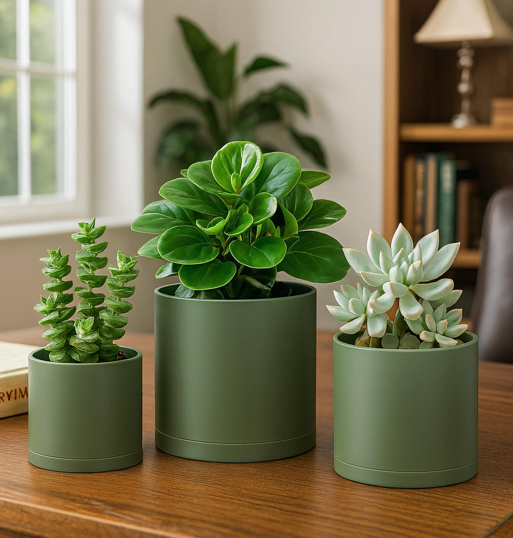 D'vine Dev 6.5 Inch 8 Inch 10 Inch, Set of 3 Plastic Planter Pots for Plants with Drainage Hole and Seamless Saucers, Black Color, Large, 74-V-B-4