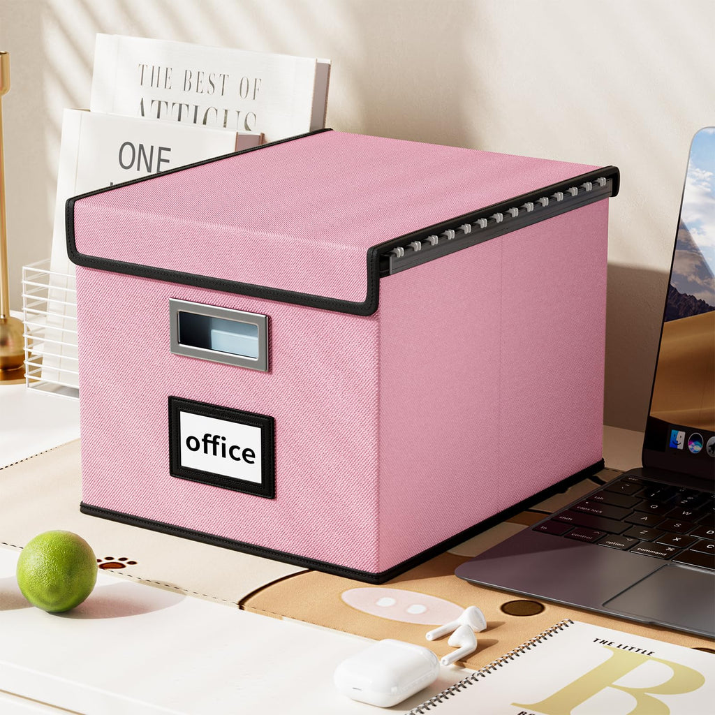 File Organizer Box with Lid, Collapsible Faux Leather Hanging File Folder Box Organizer with Plastic Slides, Decorative Home/Office Filing System Boxes for File and Folders Storage