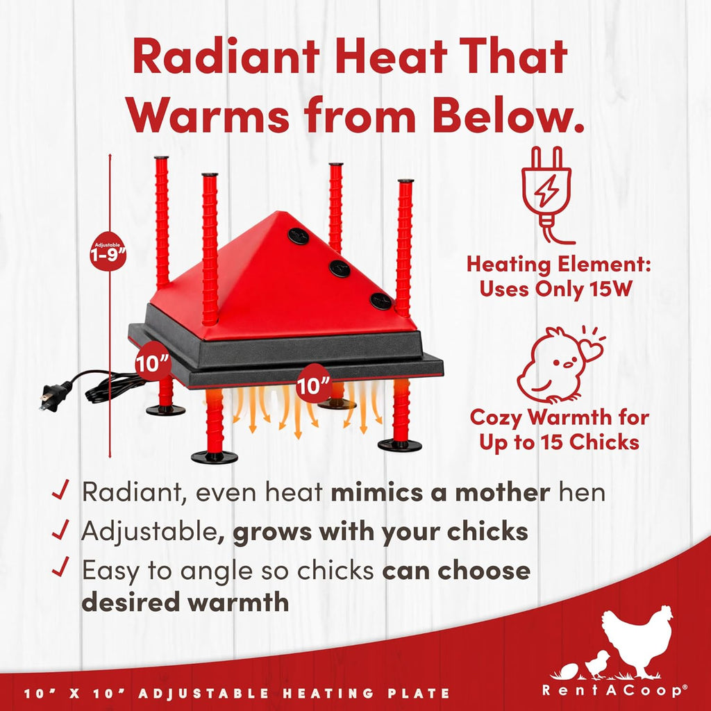 RentACoop 10x10” Adjustable Heating Plate with Bonus Foldable Anti-Roost Cone for up to 15 Chicks | Chick Brooder Heat Plate – Energy-Efficient 15-Watt Chick Heater - Safer Than Heat Lamps