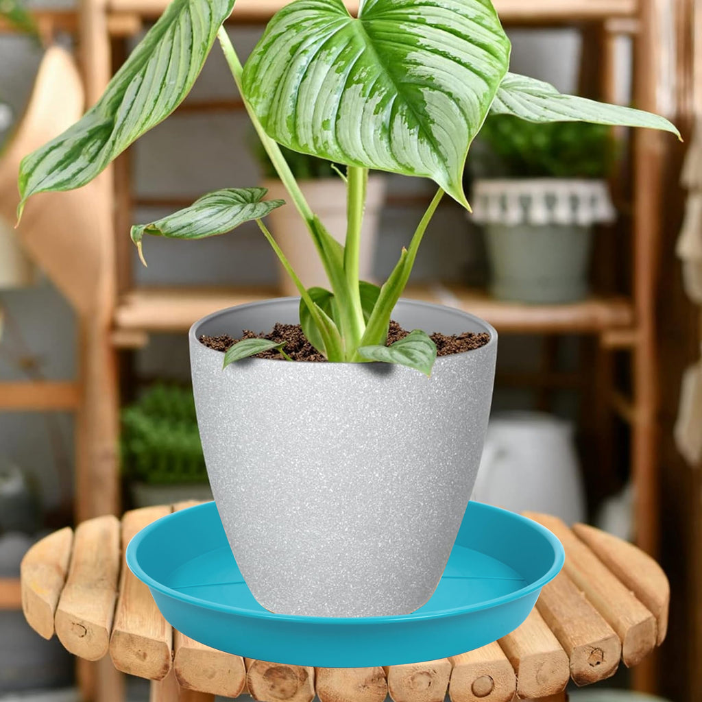 OVZILKI 6 Pack of Plant Saucer Tray 4 6 8 10 12 14 17 19 22 25 inch, Heavy Duty Plastic Pot Plant Drip Trays Saucers for Indoors Outdoor, Plant Water Tray for Planters 3-5" (4", Beige)