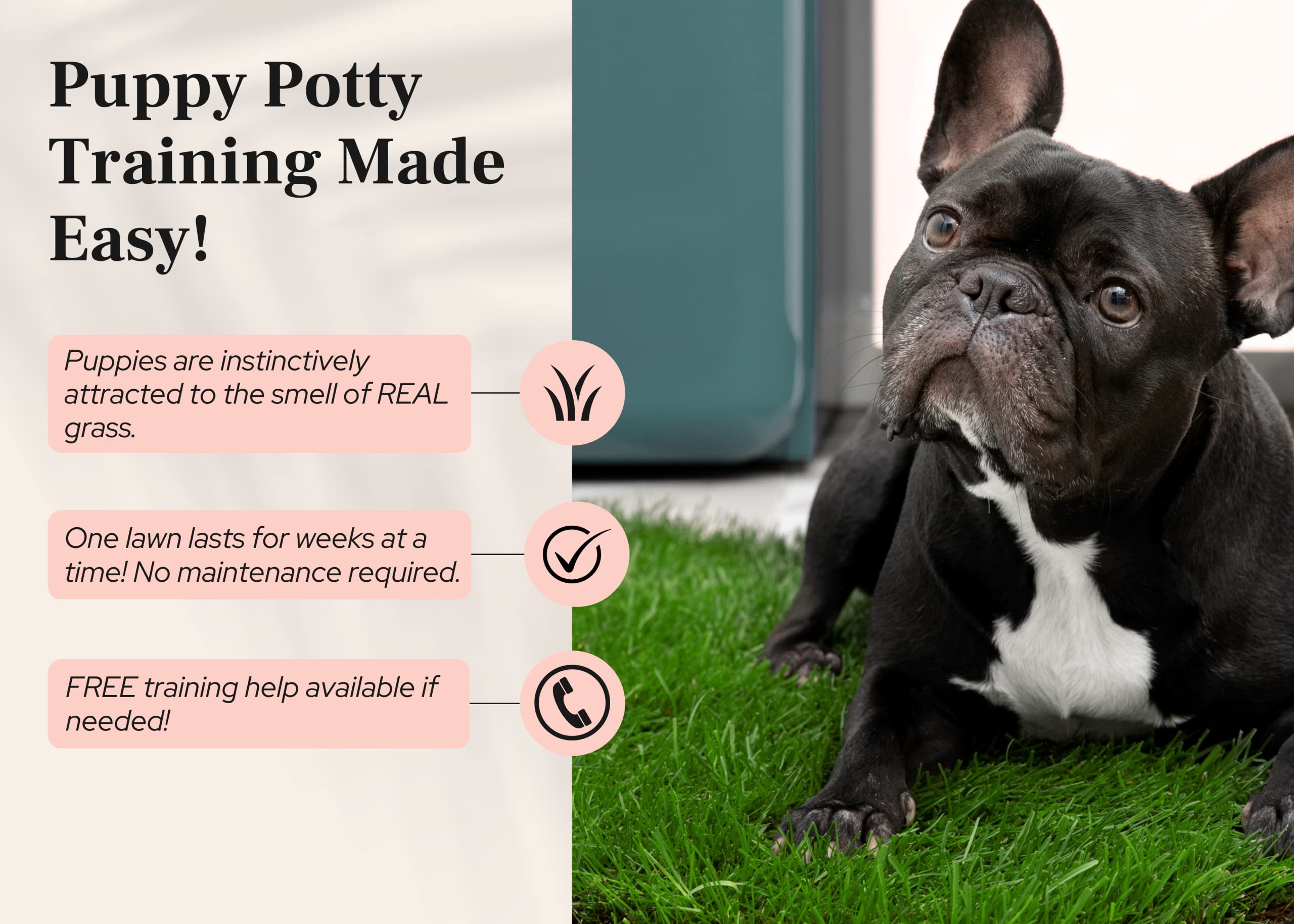 DoggieLawn XL - Real Grass Disposable Potty Training Puppy Pee Pads, Dog Grass Pee Pad, Potty Training Pee Pad, Puppy and Dogs Grass Pee Pads, Puppy Grass Pads, 48 x 24 Inches with Reusable FlexTray