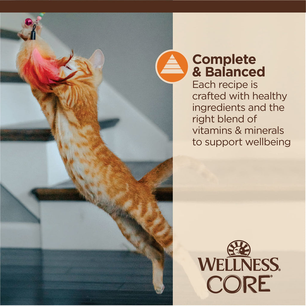 Wellness CORE Tiny Tasters Pate Adult Wet Cat Food, Natural, Protein Rich, Grain Free, Chicken Recipe, 1.75 oz, Pack of 12 Pouches