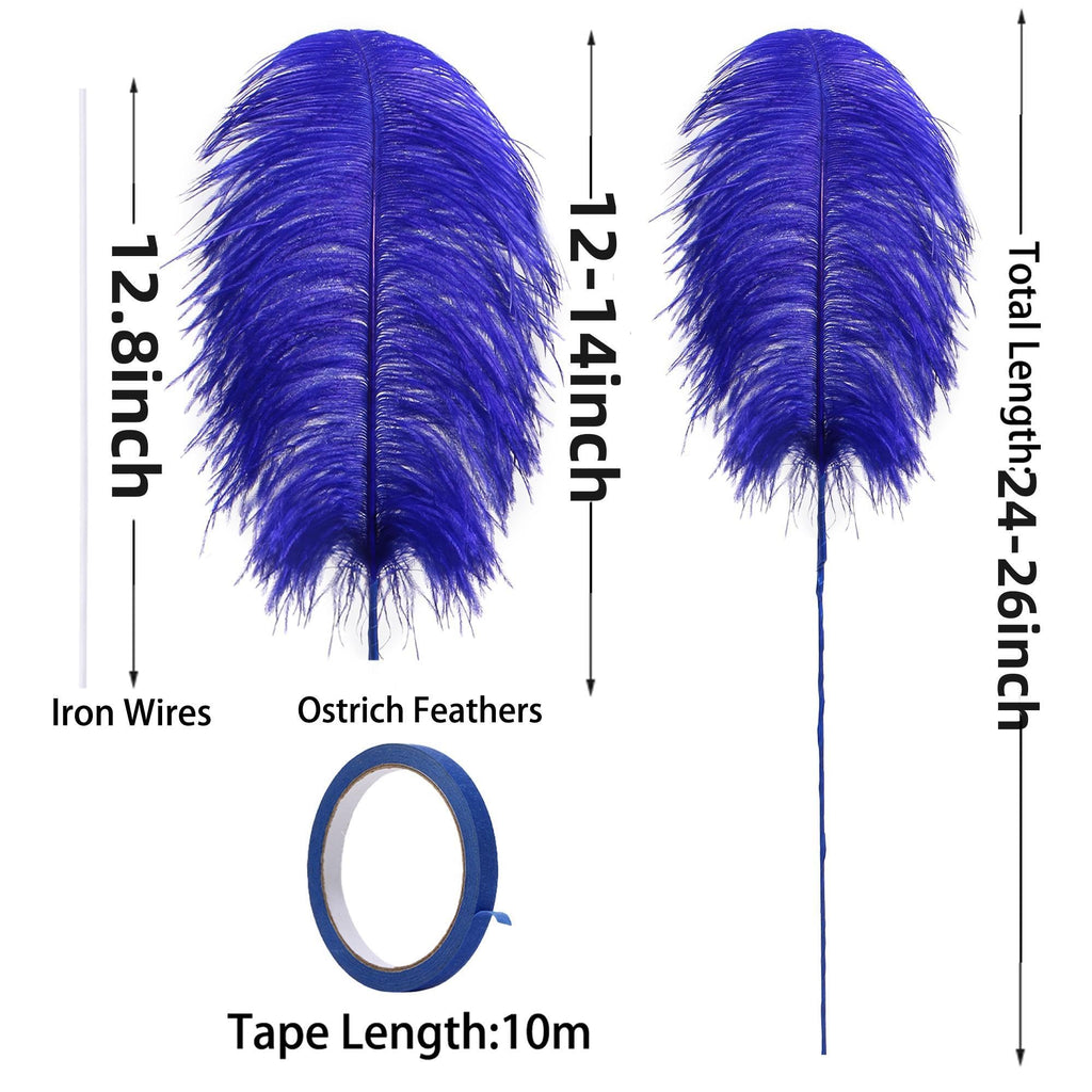 Ballinger Black Ostrich Feathers Bulk - Making Kit 12Pcs 16-18inch Large Ostrich Feathers for Floral Arrangement, Vase, Wedding Party Centerpieces and Halloween Home Decor