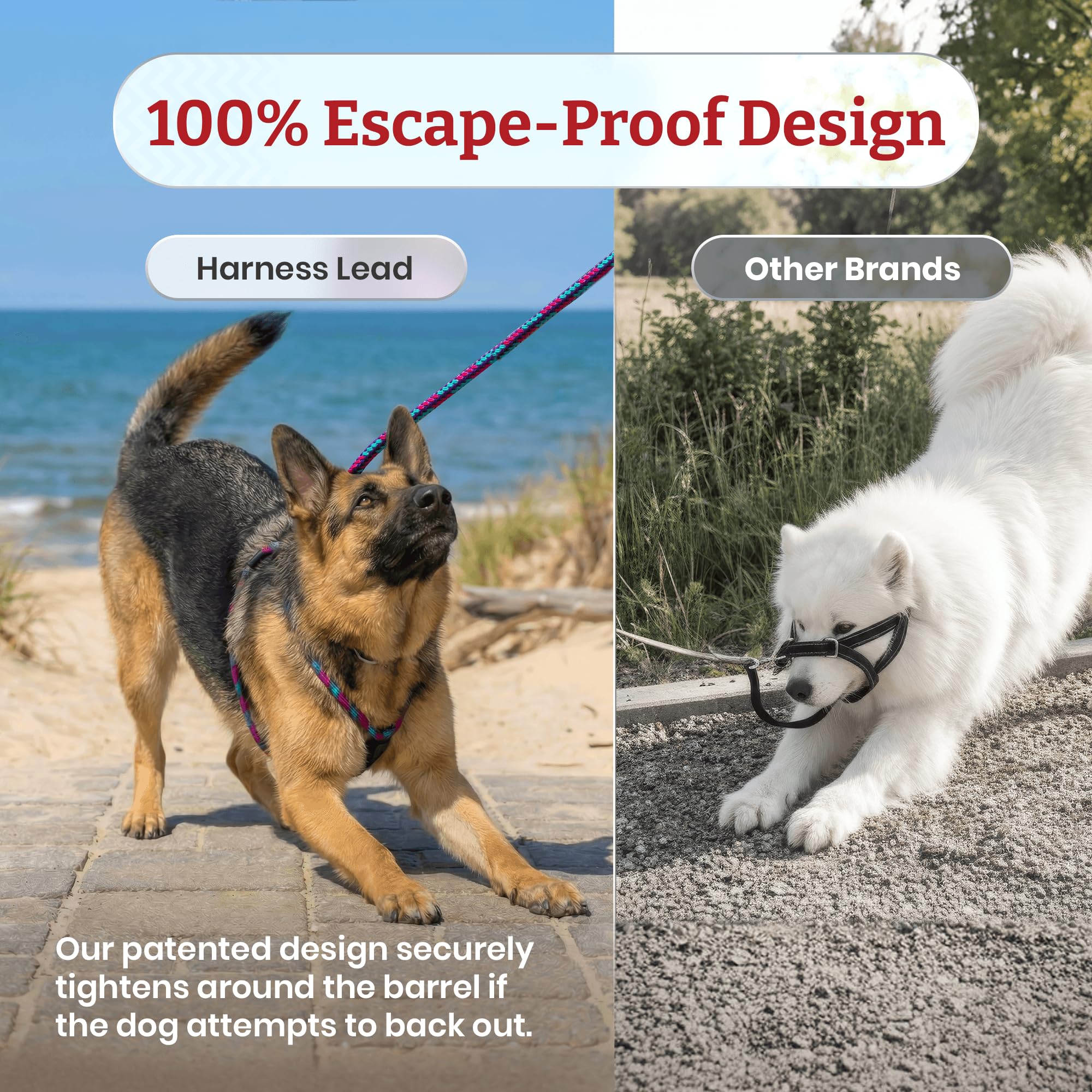 Harness Lead Escape Resistant, Reduces Pull Dog Harness, Medium/Large, Black