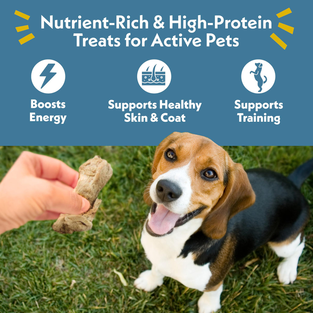 Fresh Is Best Freeze Dried Dog Treats - Raw Freeze Dried Chicken Breast for Dogs & Cats - Healthy Dog Training Treats in Resealable Zipper Bag - High-Protein Single Ingredient - Made in the USA