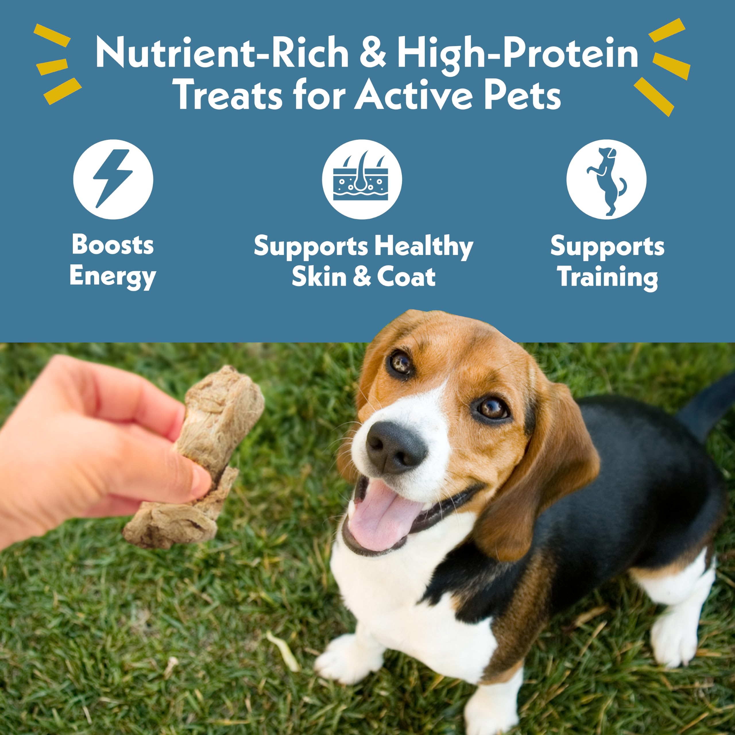 Fresh Is Best Freeze Dried Dog Treats - Raw Freeze Dried Chicken Breast for Dogs & Cats - Healthy Dog Training Treats in Resealable Zipper Bag - High-Protein Single Ingredient - Made in the USA