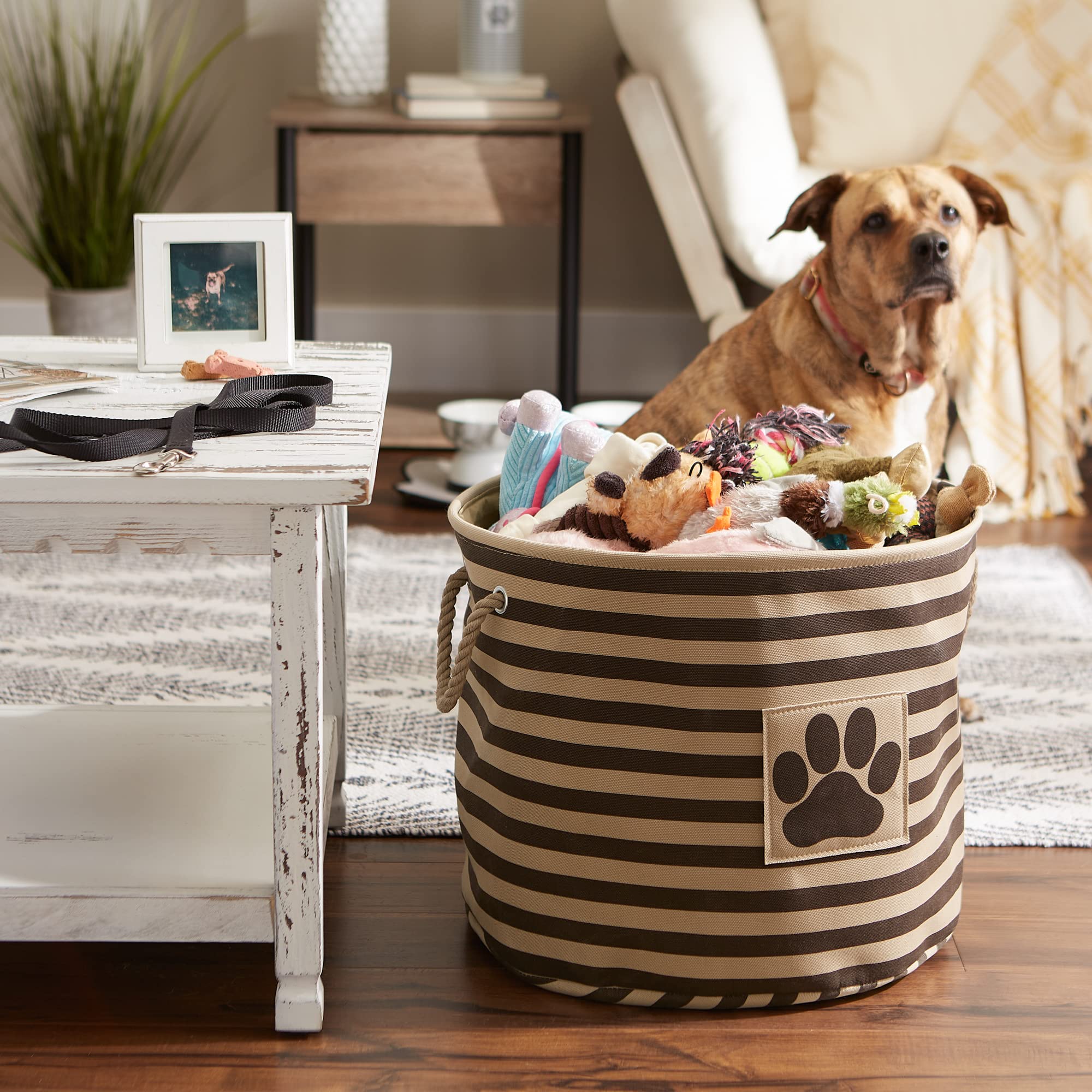 Bone Dry Pet Storage Collection Striped Paw Patch Bin, Aqua, Small Rectangle