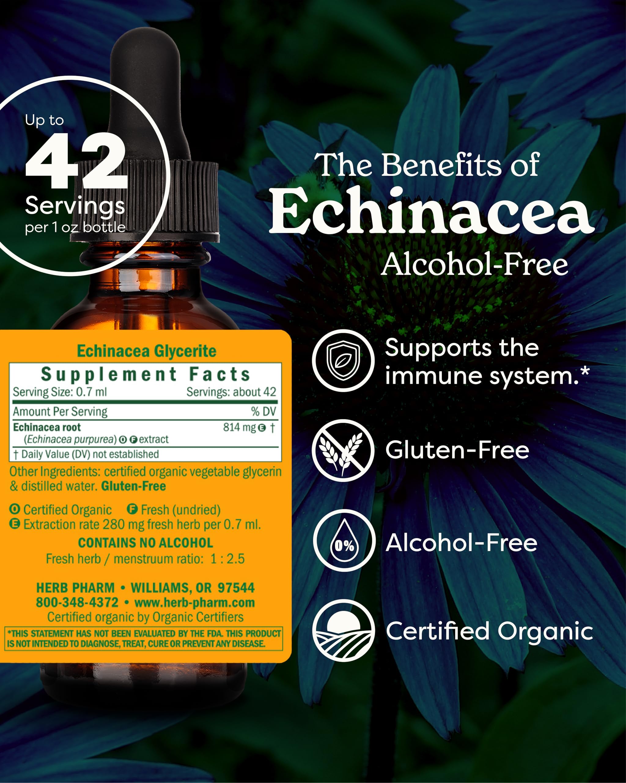 Herb Pharm Echinacea Alcohol-Free Extract: Immune System Support for All Seasons | Fast-Absorbing Echinacea Root Organic Supplement | Non-GMO, Vegan & Gluten-Free | Glycerite Liquid | 1 oz