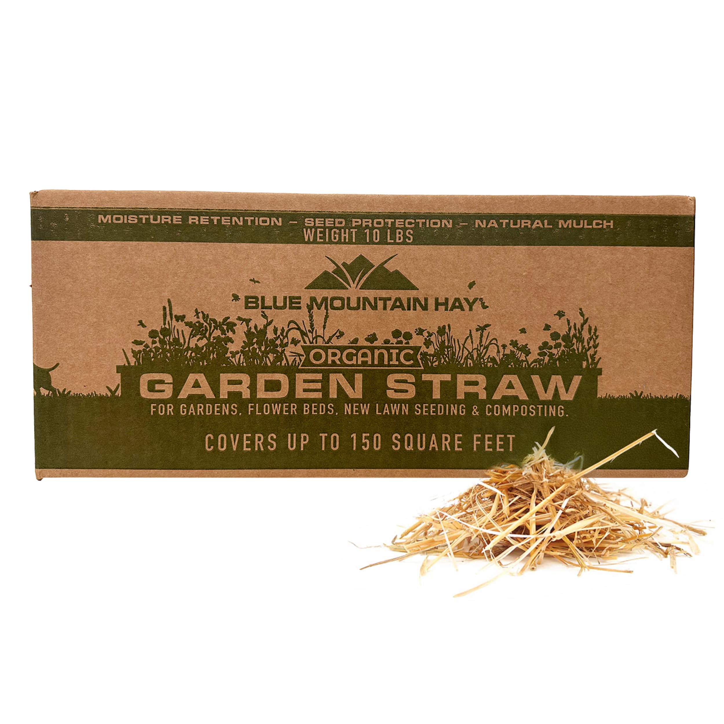 Blue Mountain Hay Organic Garden Straw (5 lb) - Natural Mulch for Gardening, Flower Beds & Landscaping, New Lawn Grass Seeding, Compost, Raised Garden Bed, Cat Grass & Grass Seed