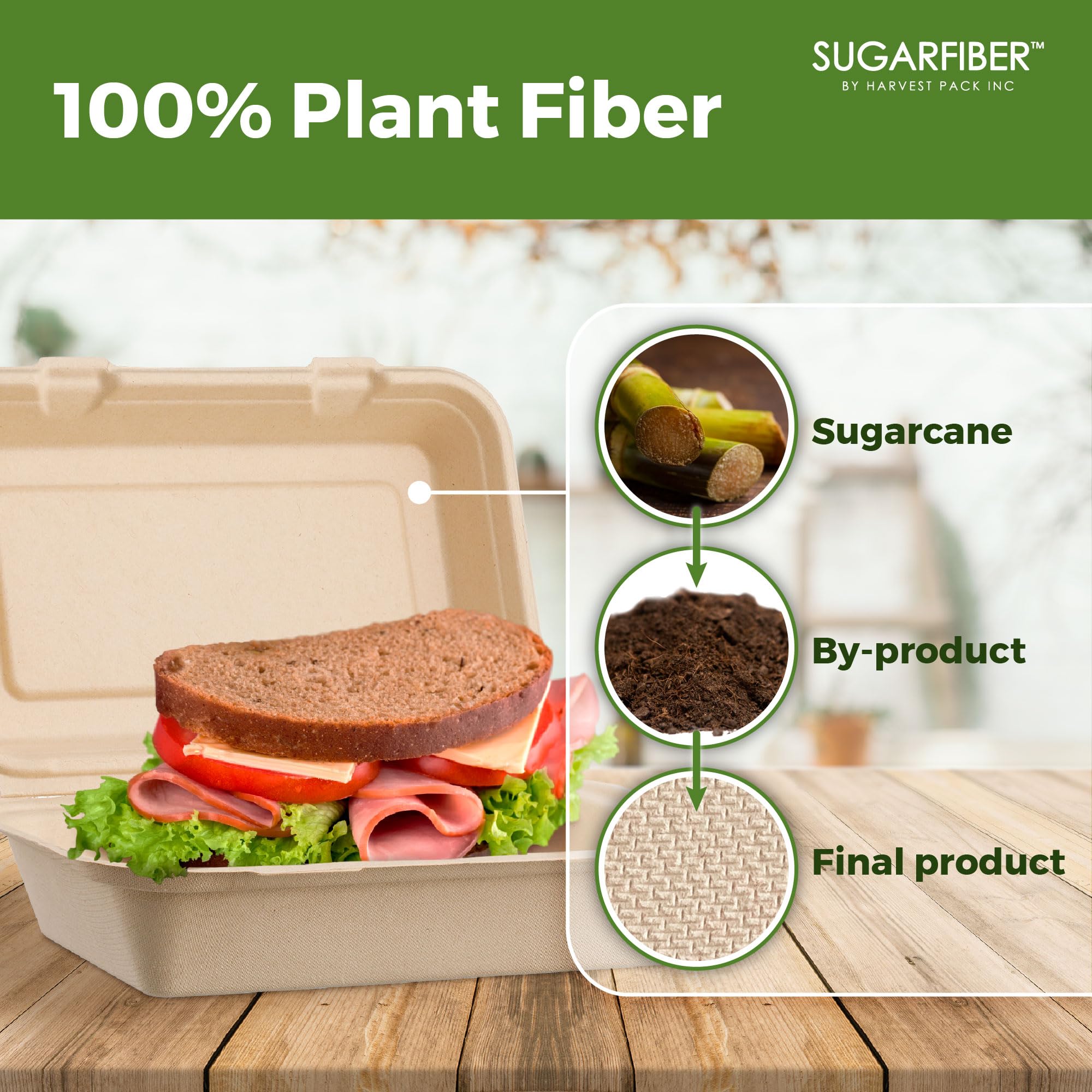 [50 COUNT]Harvest Pack 6 X 6" Compostable Clamshell Take Out Food Containers, PFAS FREE Square To go Containers with Lids, Heavy-Duty Disposable Bagasse Bento Cake Box, Eco-Friendly Sugarcane Fibers