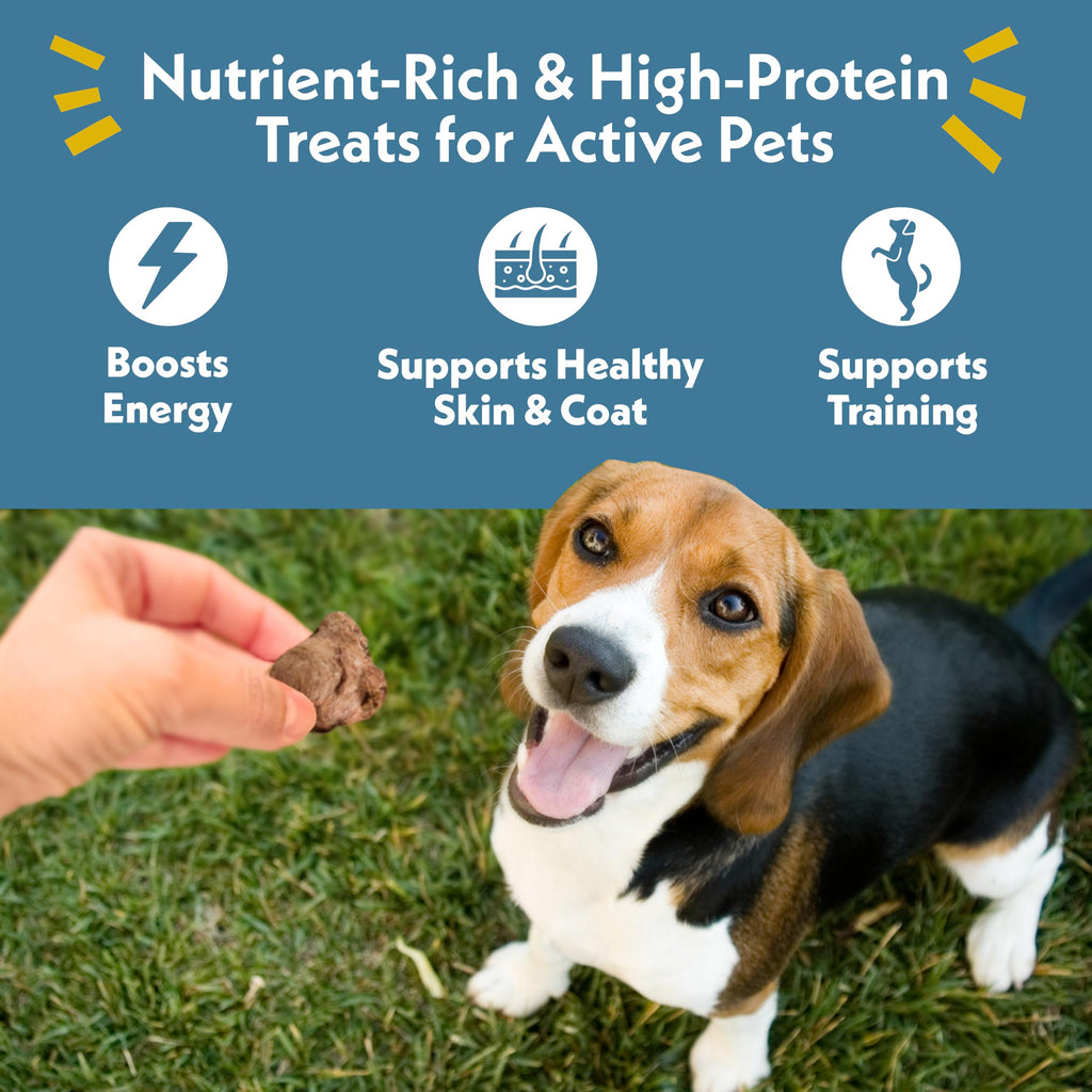 Fresh Is Best Freeze Dried Dog Treats - Raw Freeze Dried Chicken Breast for Dogs & Cats - Healthy Dog Training Treats in Resealable Zipper Bag - High-Protein Single Ingredient - Made in the USA
