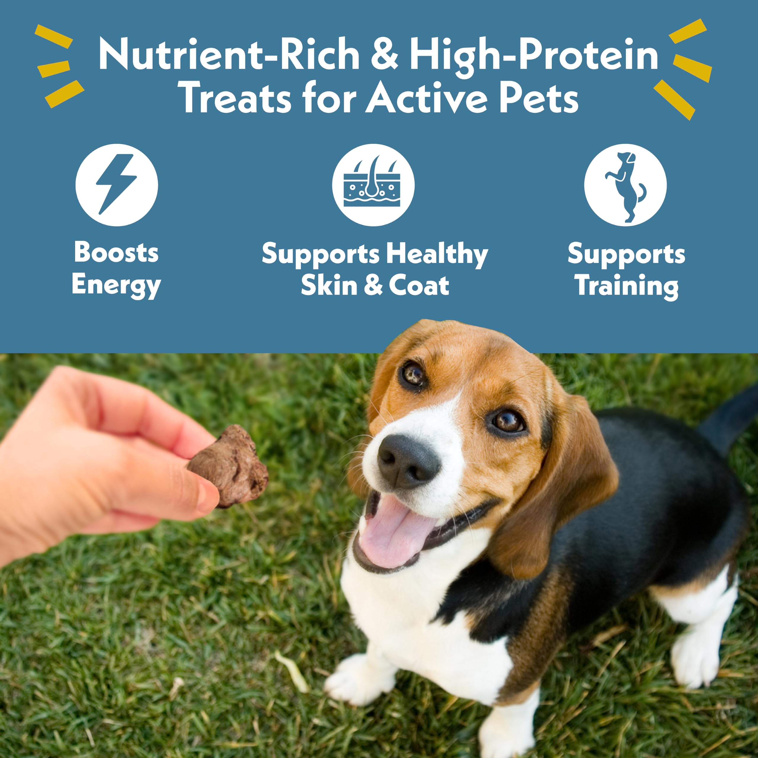 Fresh Is Best Freeze Dried Dog Treats - Raw Freeze Dried Chicken Breast for Dogs & Cats - Healthy Dog Training Treats in Resealable Zipper Bag - High-Protein Single Ingredient - Made in the USA