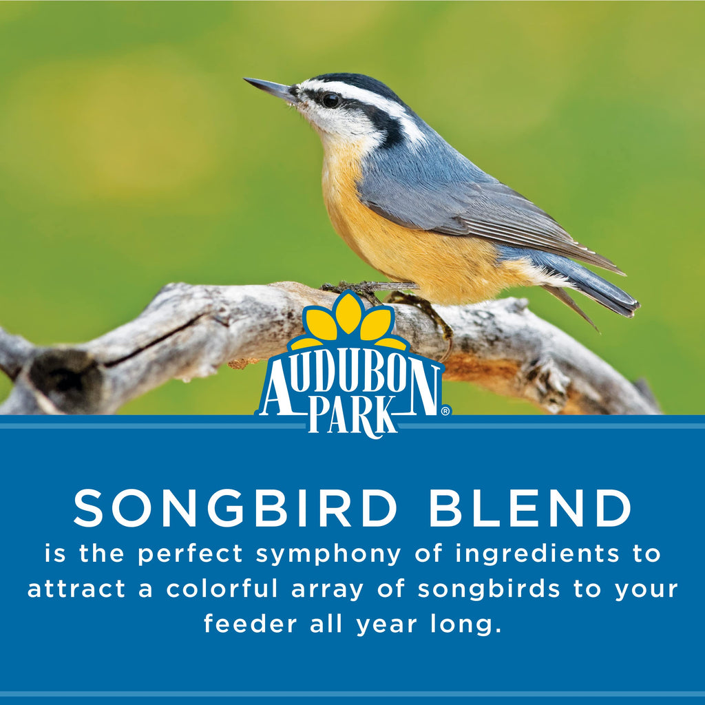 Audubon Park Songbird Blend Wild Bird Food, Bird Food for Outside Feeders, 14-Pound Bag | Year-round outdoor bird food for outside feeders