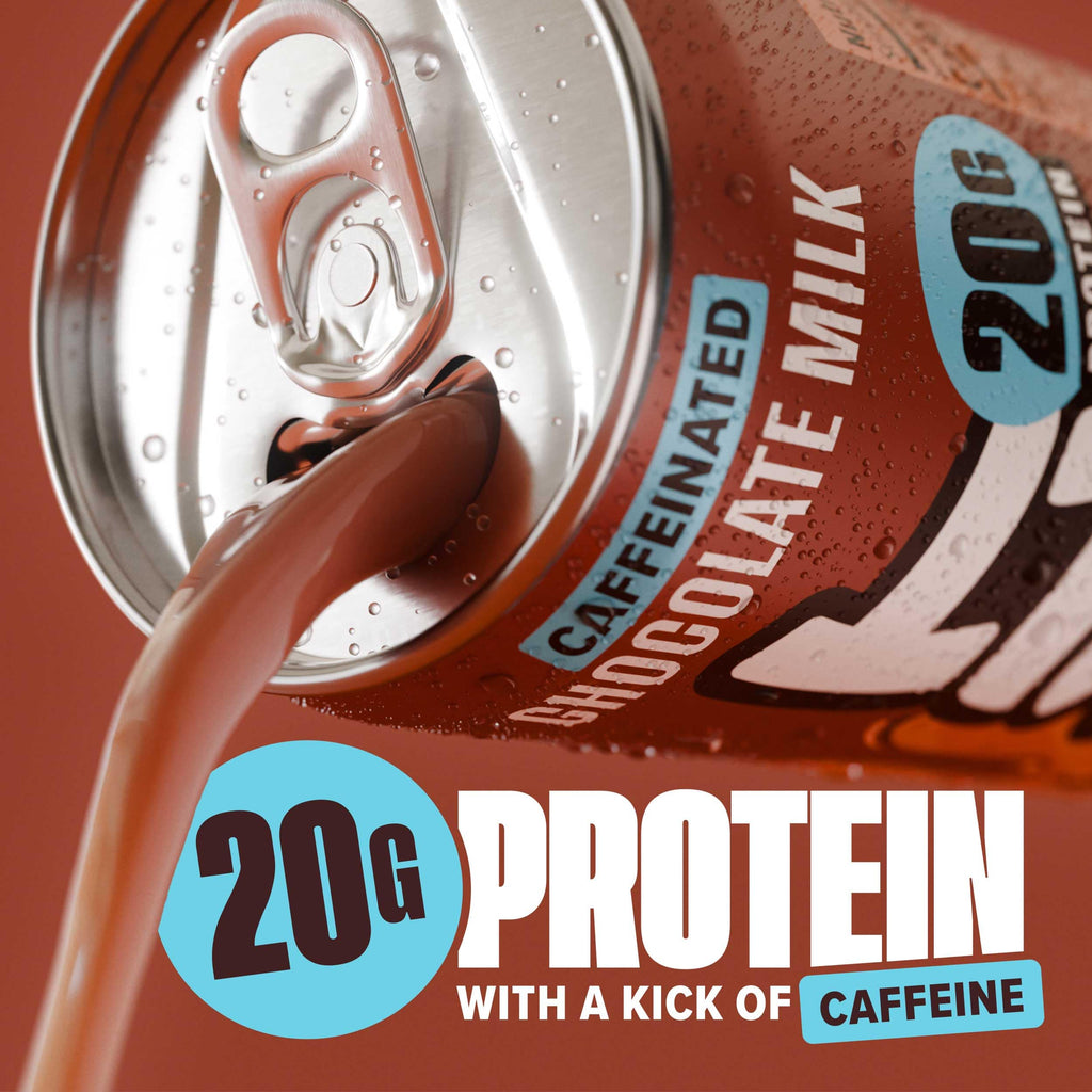 Spylt High Protein Milk - 6 Flavor Variety Pack with 60mg Caffeine & 20g Protein - 90 Calories, Ready to Drink, Sugar Free, Lactose Free Milk, Perfect for Workout Recovery & Afternoon Pick Me Up - 12 Count - Packaging May Vary