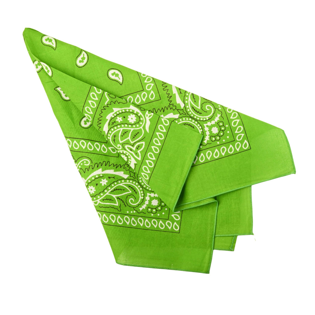 Motique Accessories Extra Large Paisley Bandana 27x27 Inch