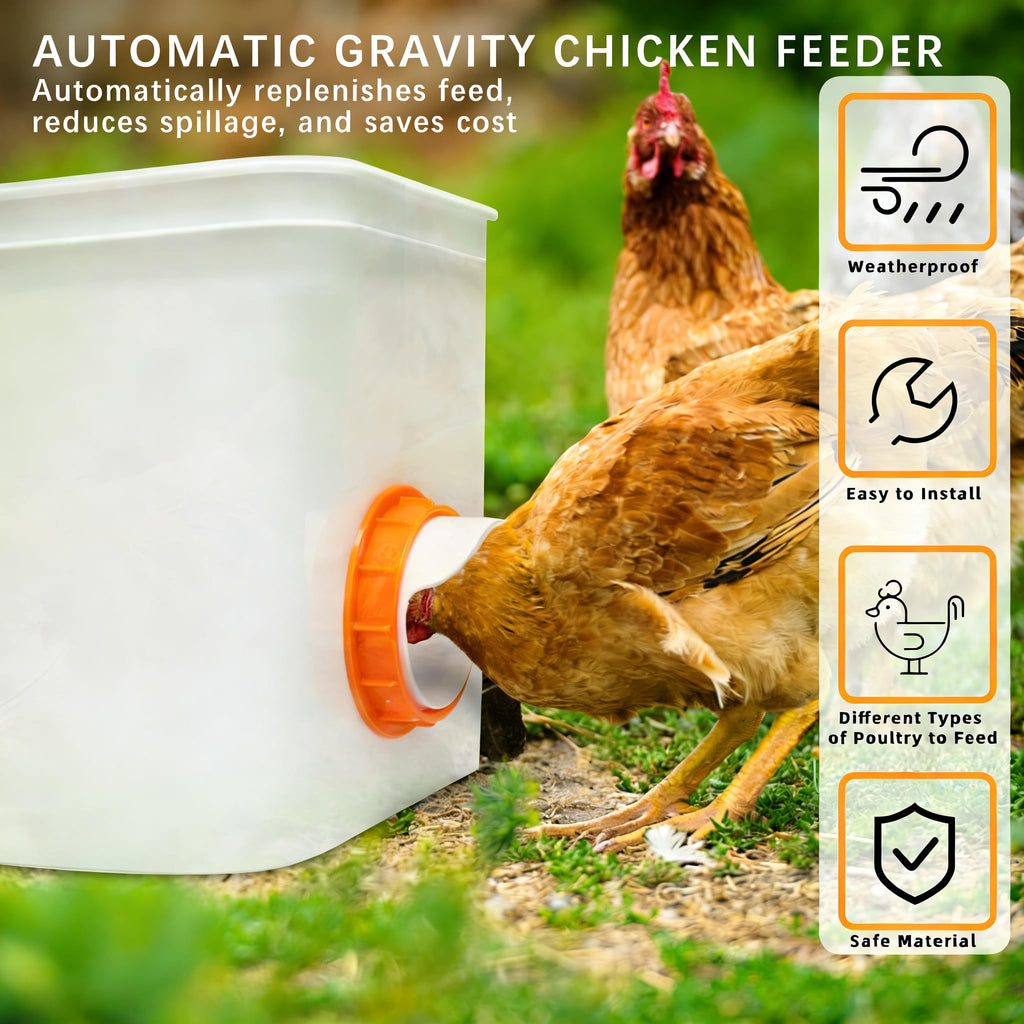 Chicken Feeder Port, 6 Pack Chicken Feeders No Waste with 6 Lids 1 Drill Bit, DIY Automatic Poultry Feeder Cups Kit, Chicken Bucket Feeder for Barrels (White)
