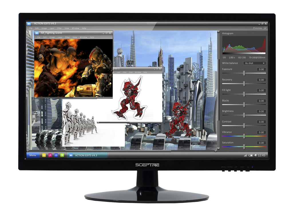 Sceptre 24 Inch 75Hz 1080p LED Monitor with Build-in Speakers HDMI VGA Ports, New Black 2019 (E248W-1920)